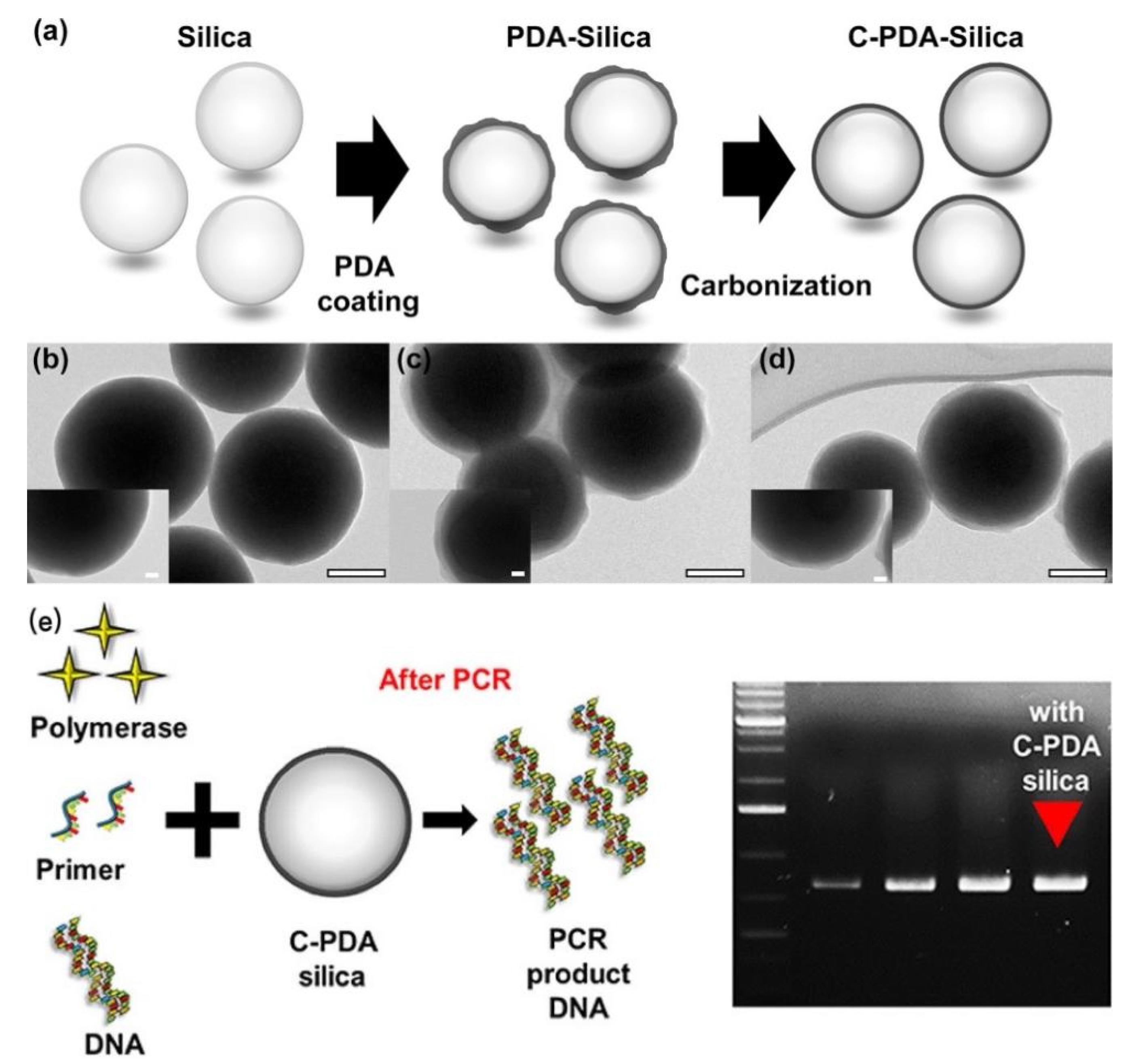 Molecules 27 08854 g008