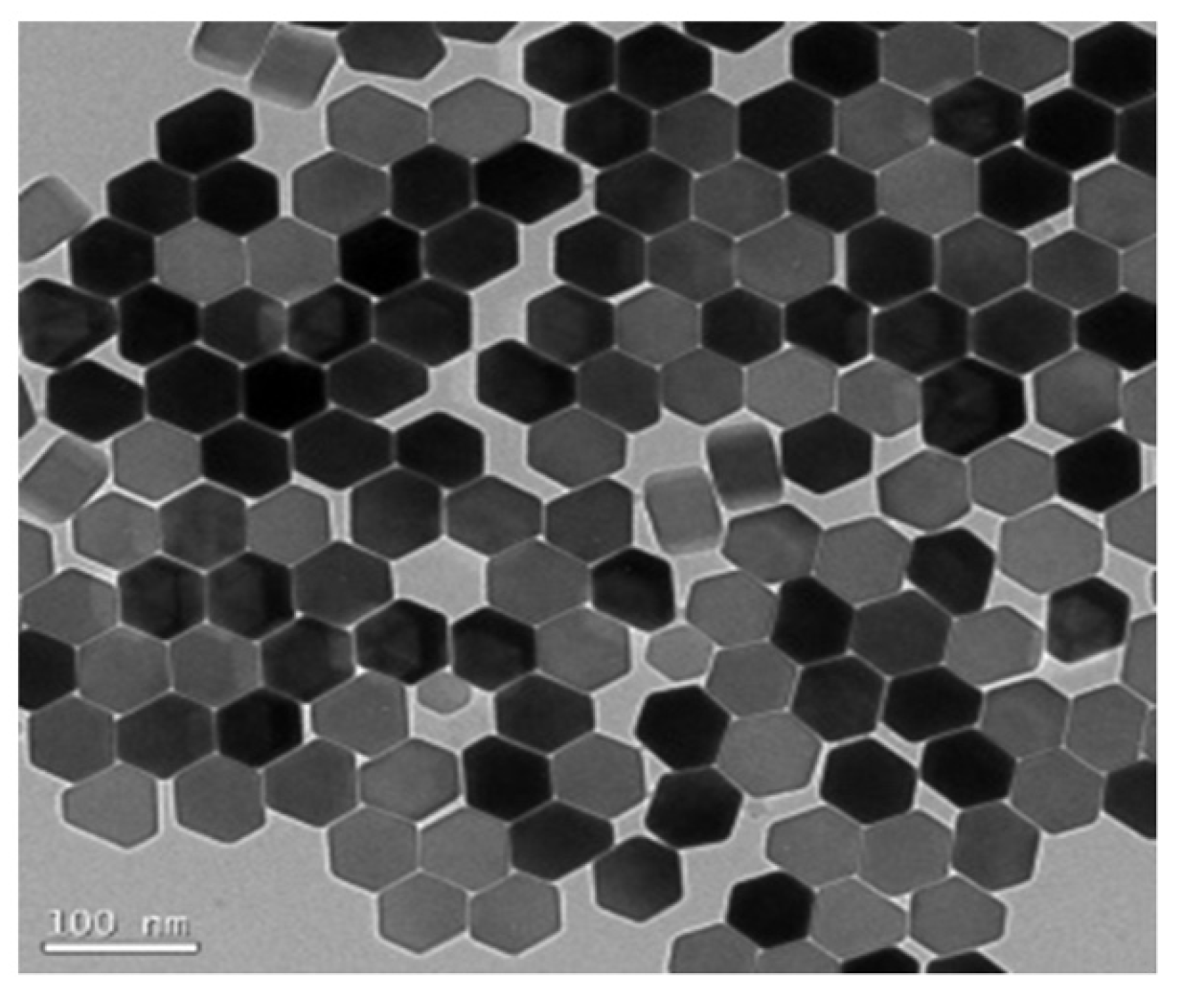 Molecules 27 08854 g009