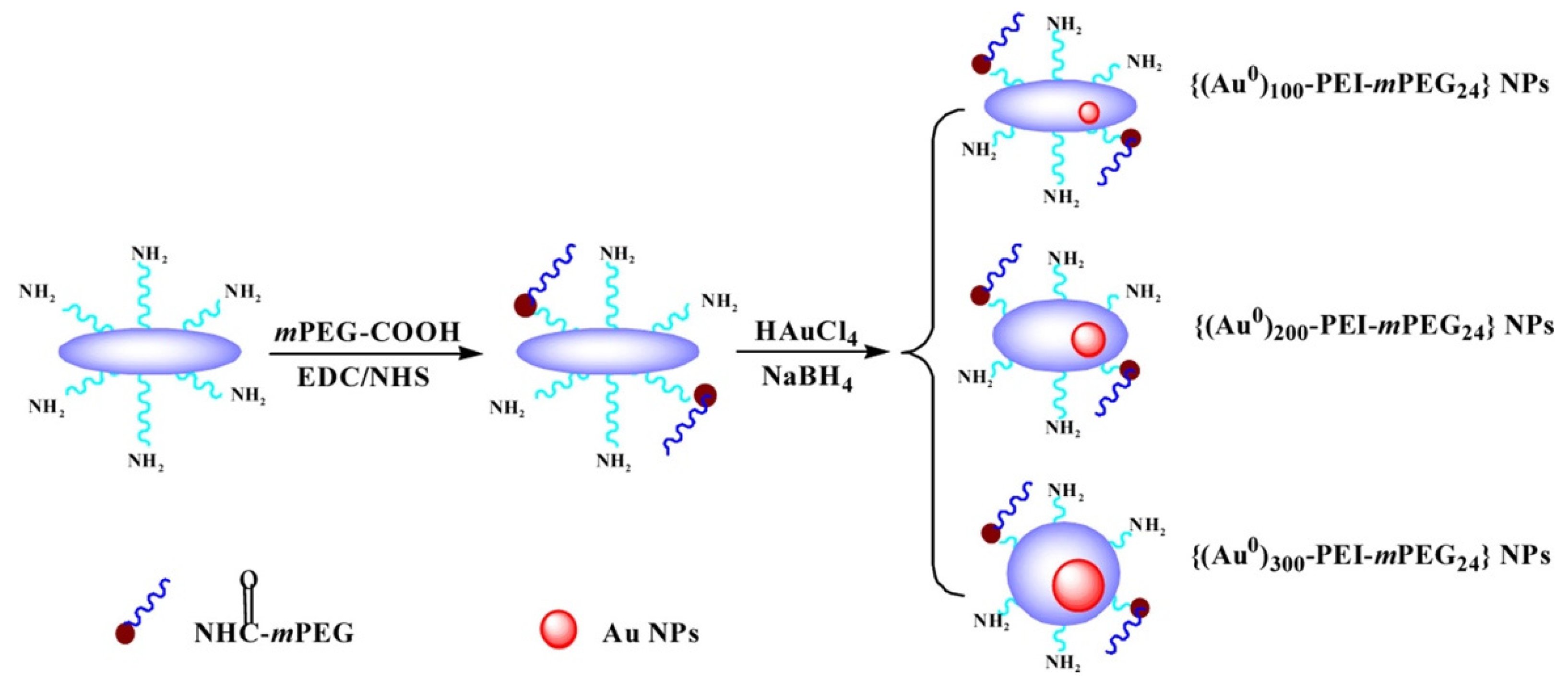 Molecules 27 08854 g010