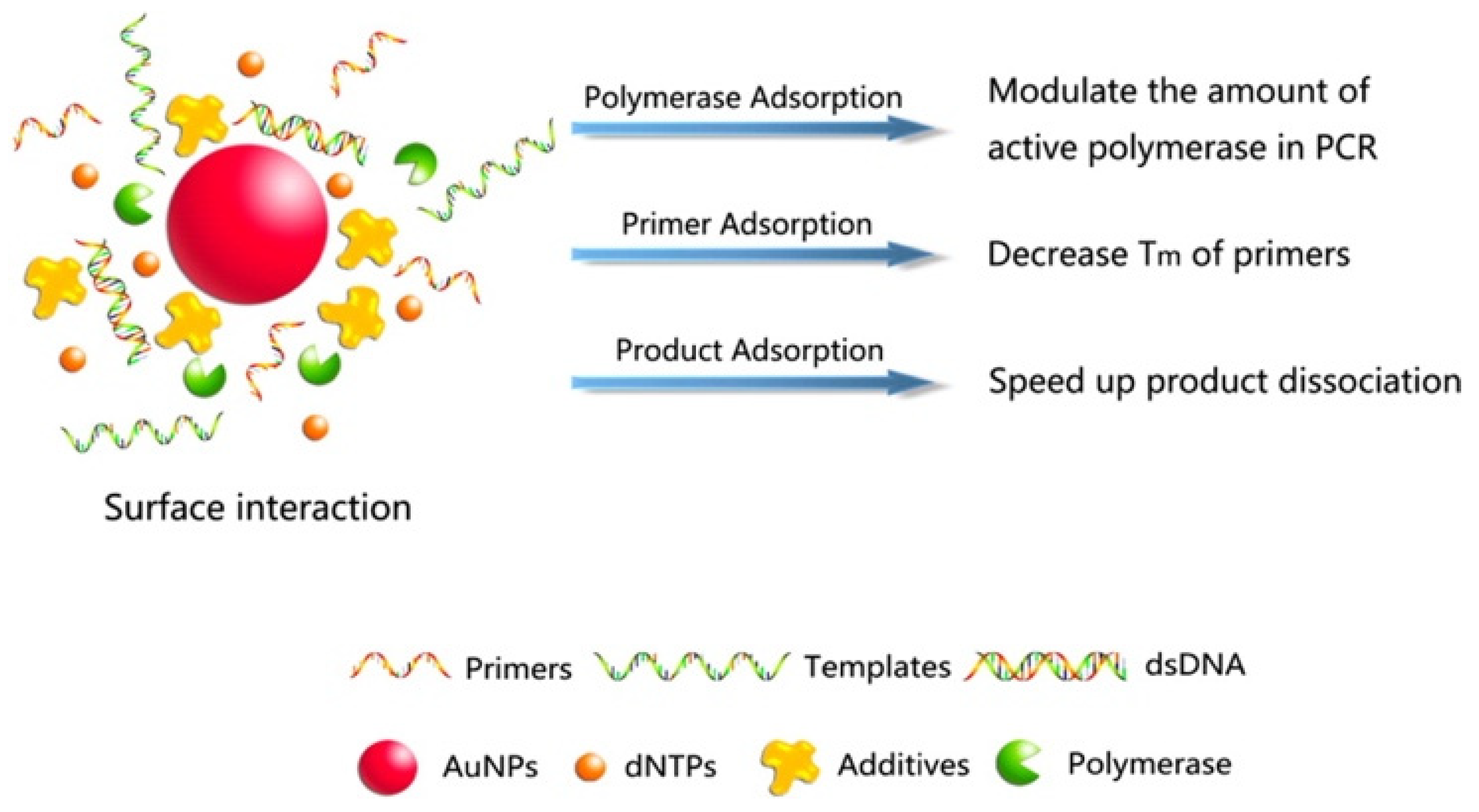 Molecules 27 08854 g014