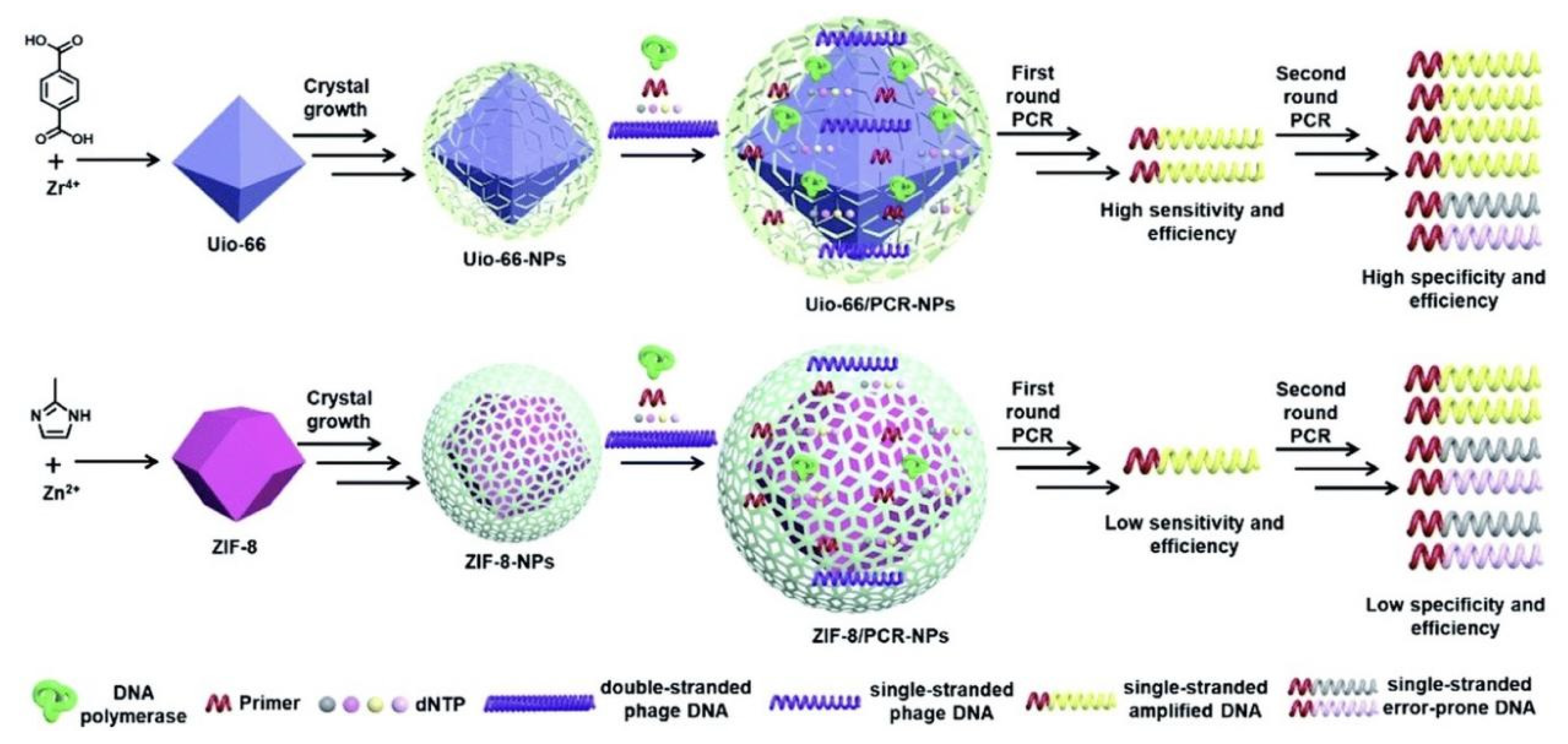 Molecules 27 08854 g016