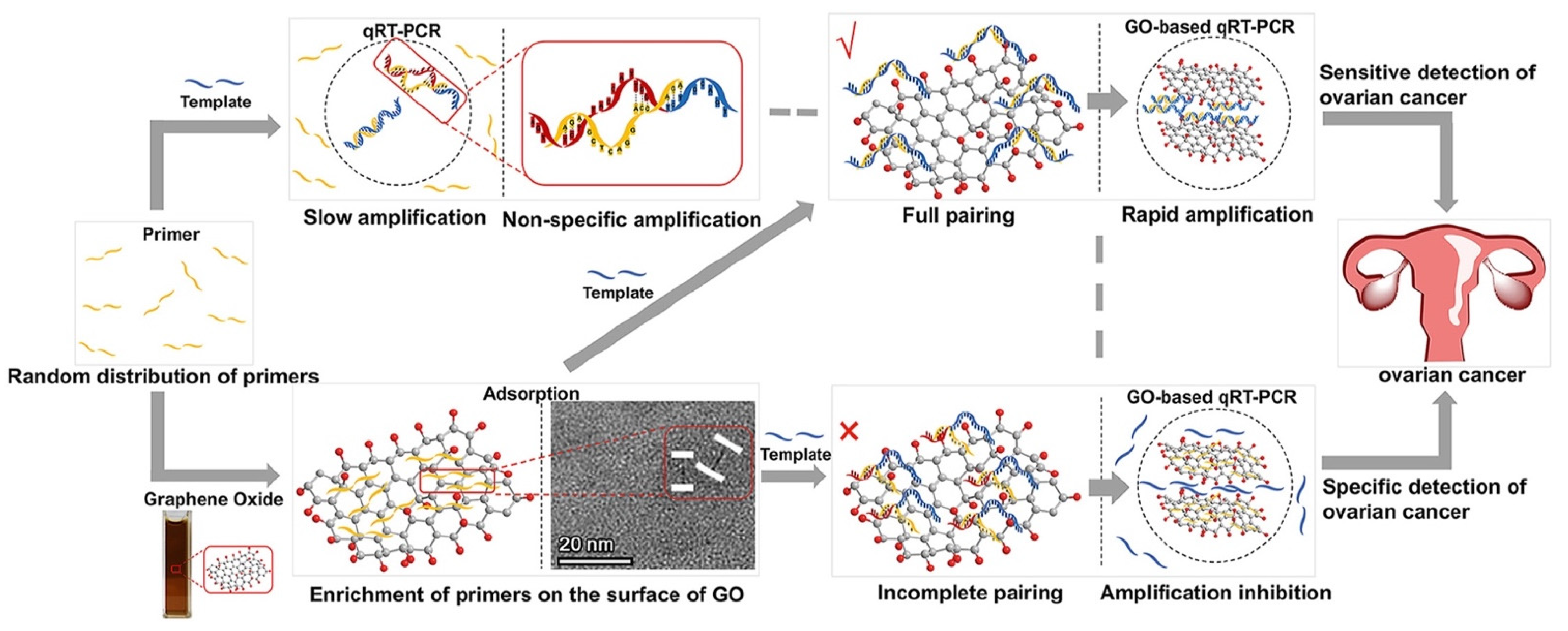 Molecules 27 08854 g017