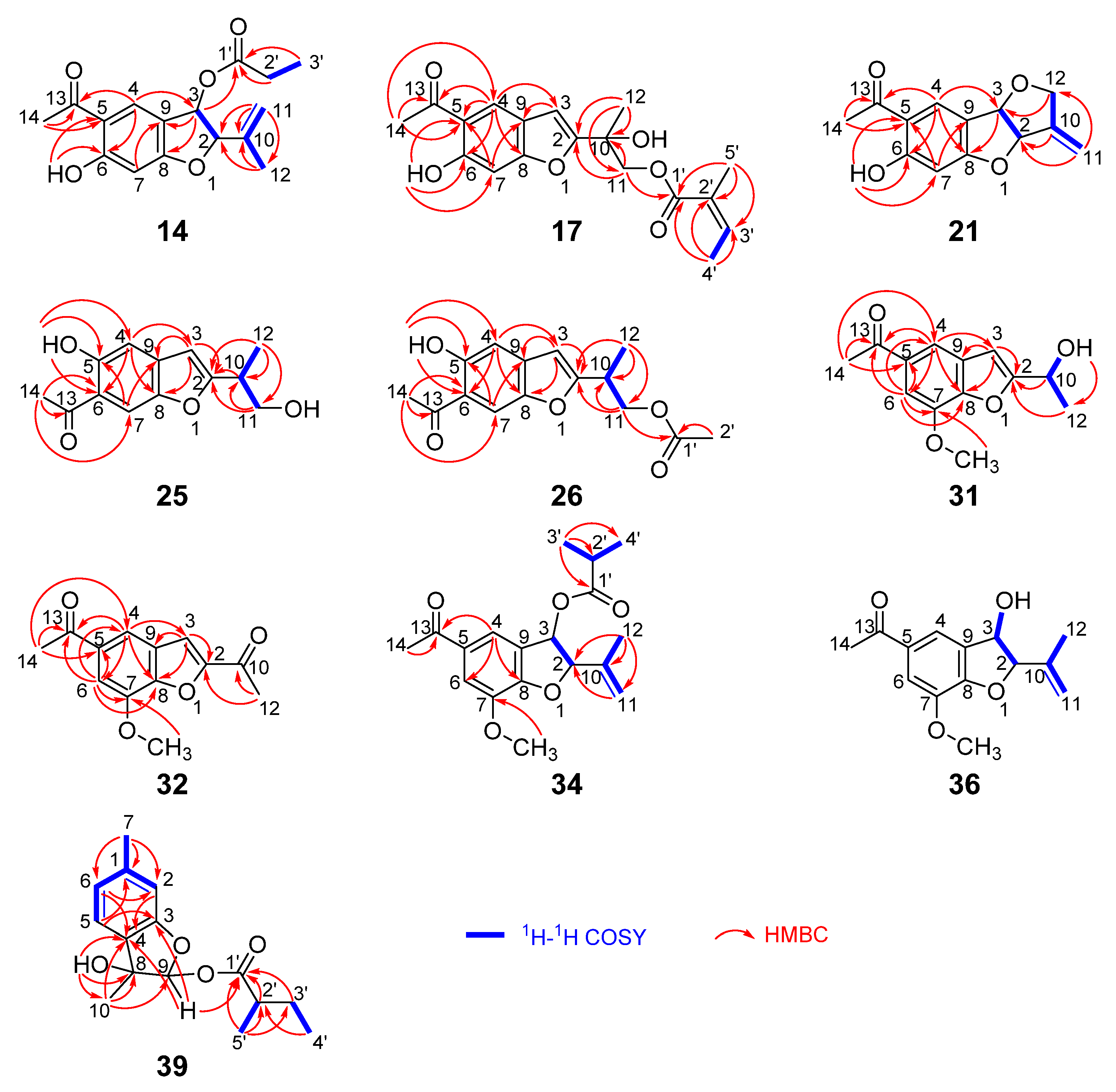 Molecules 27 08856 g007 Molecules 27 08856 g007
