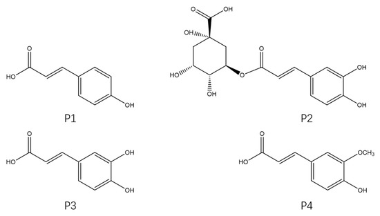 Protective Effects of Hippophae rhamnoides L