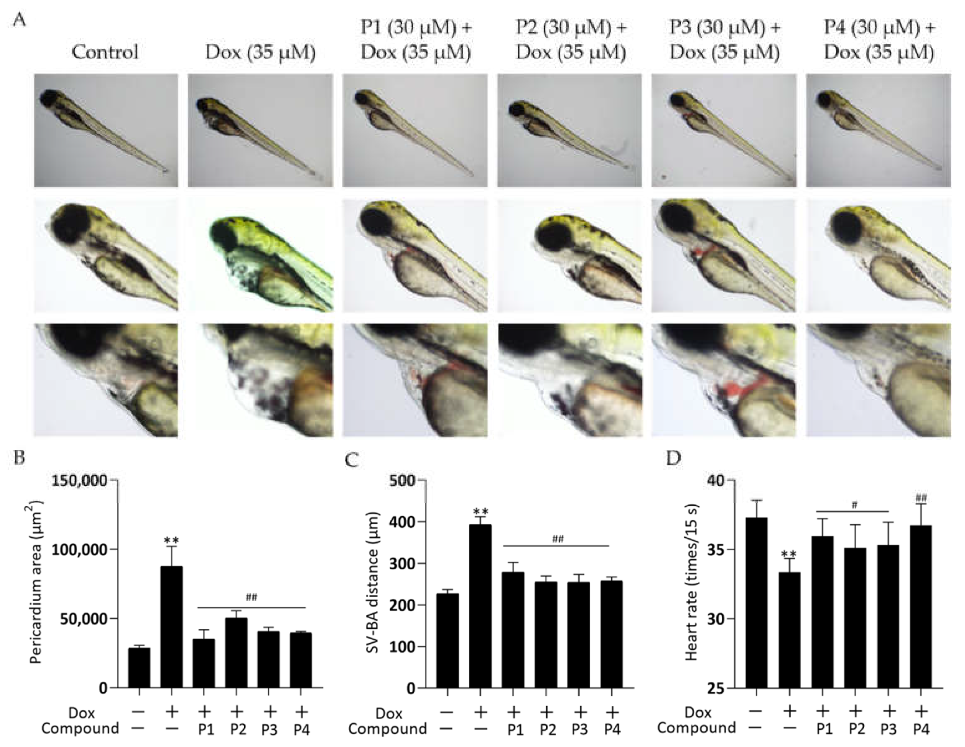 Molecules 27 08858 g002 Molecules 27 08858 g002
