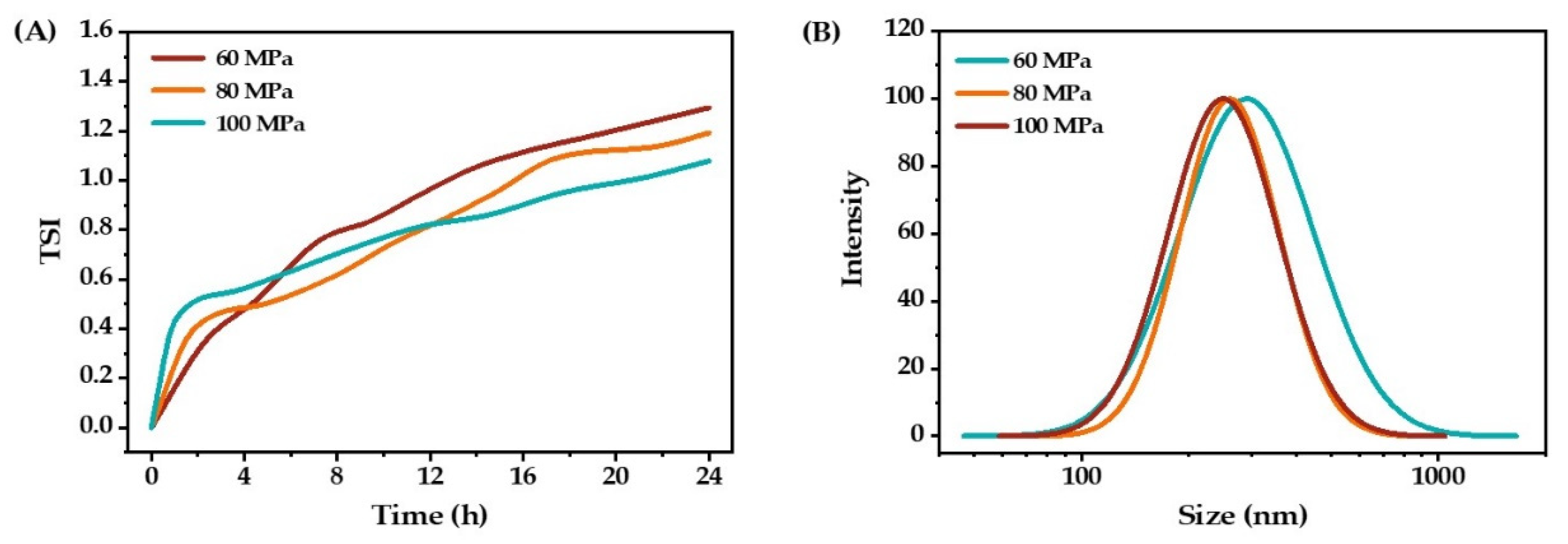 Molecules 27 08861 g005 Molecules 27 08861 g005