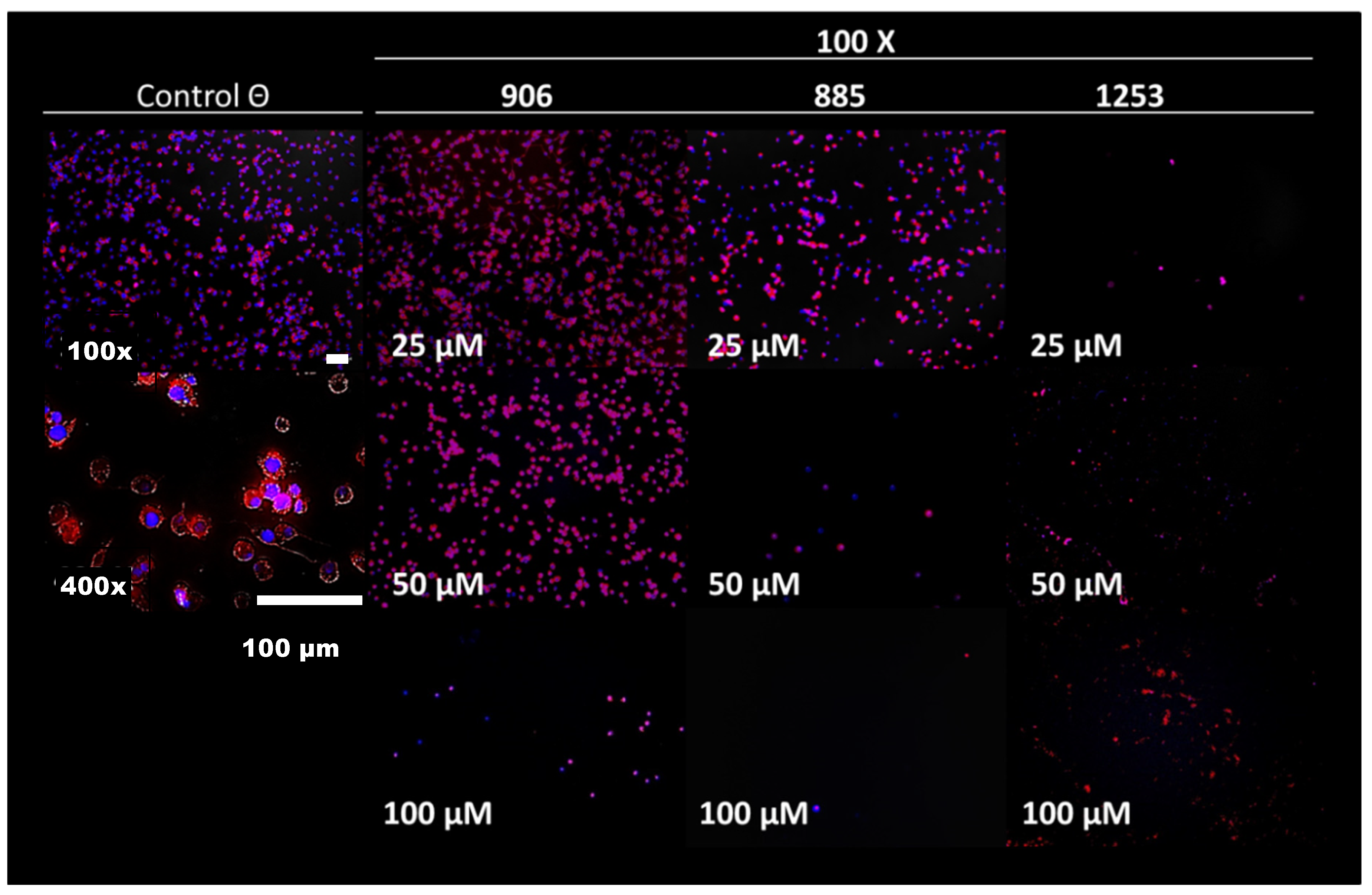 Molecules 27 08863 g001