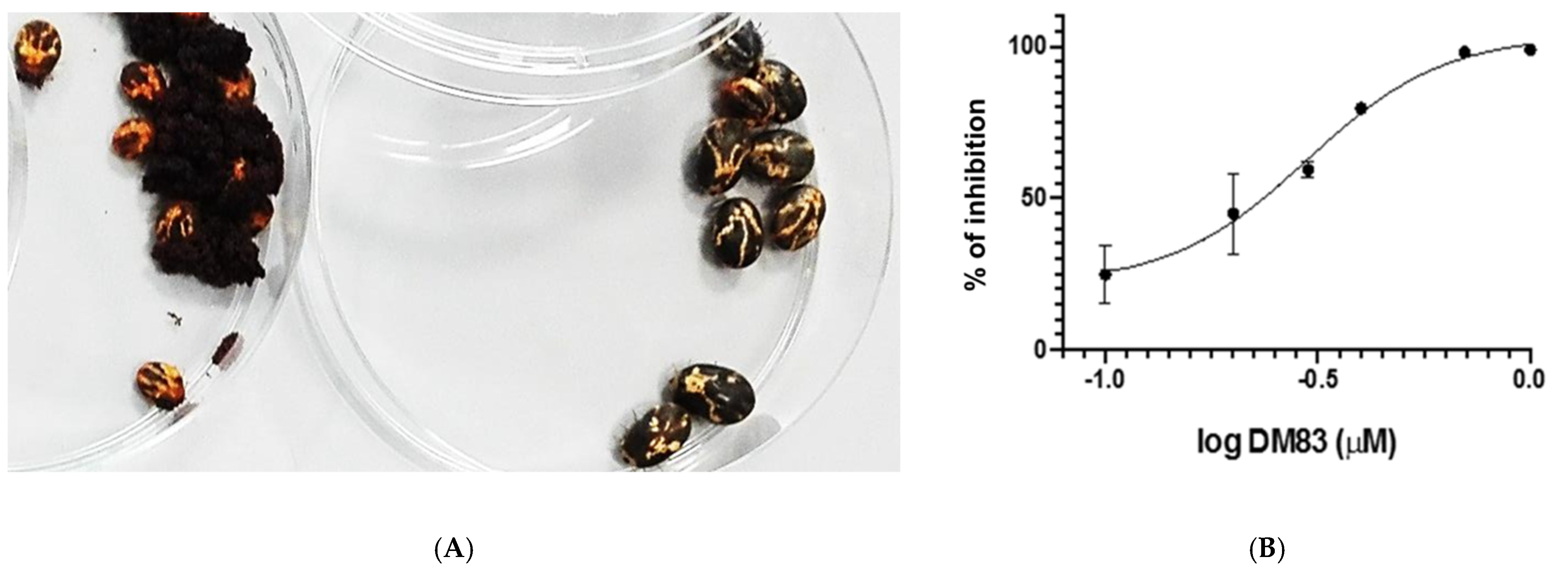 Molecules 27 08863 g002