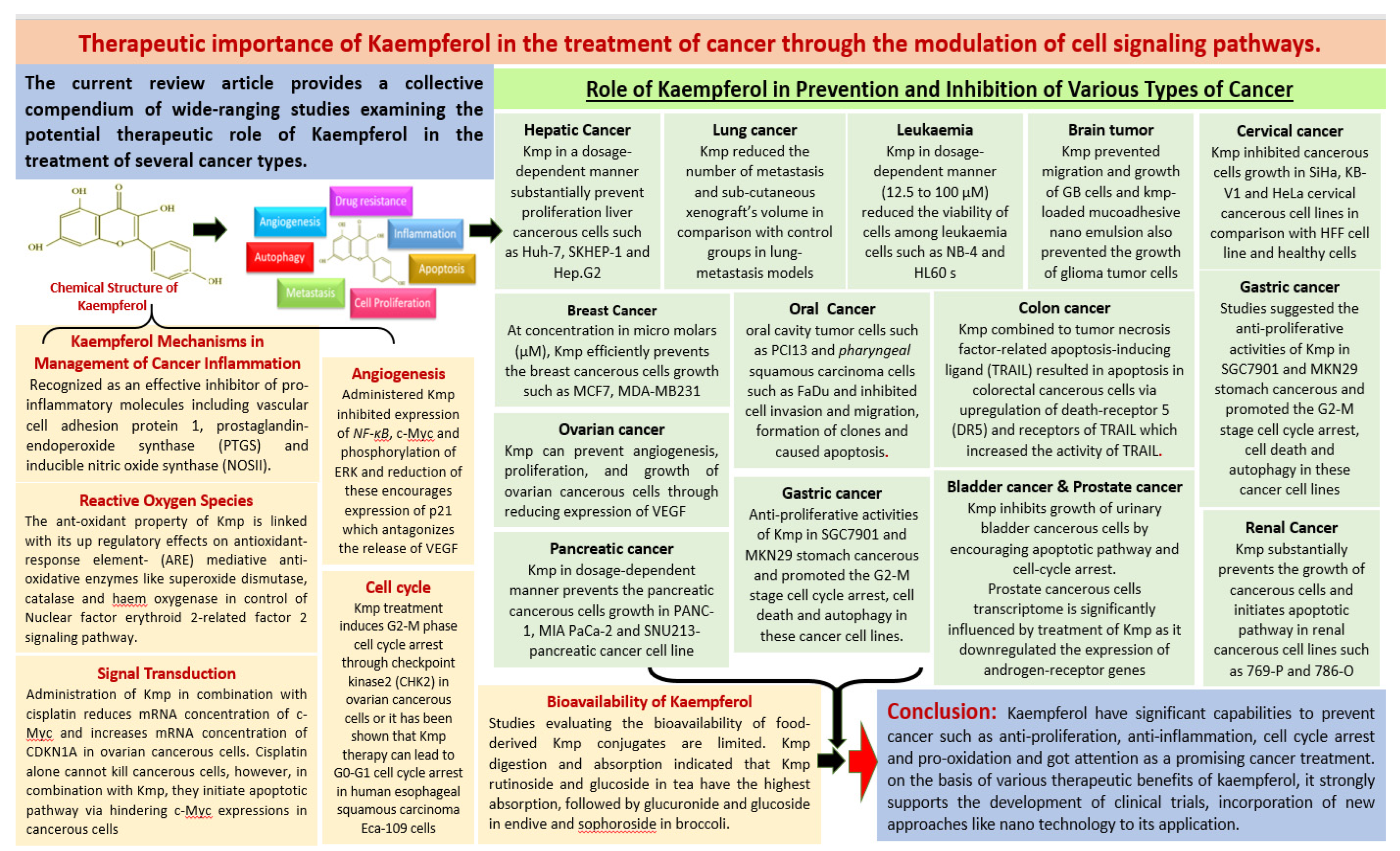 Radiation Therapy For Cancer Treatments