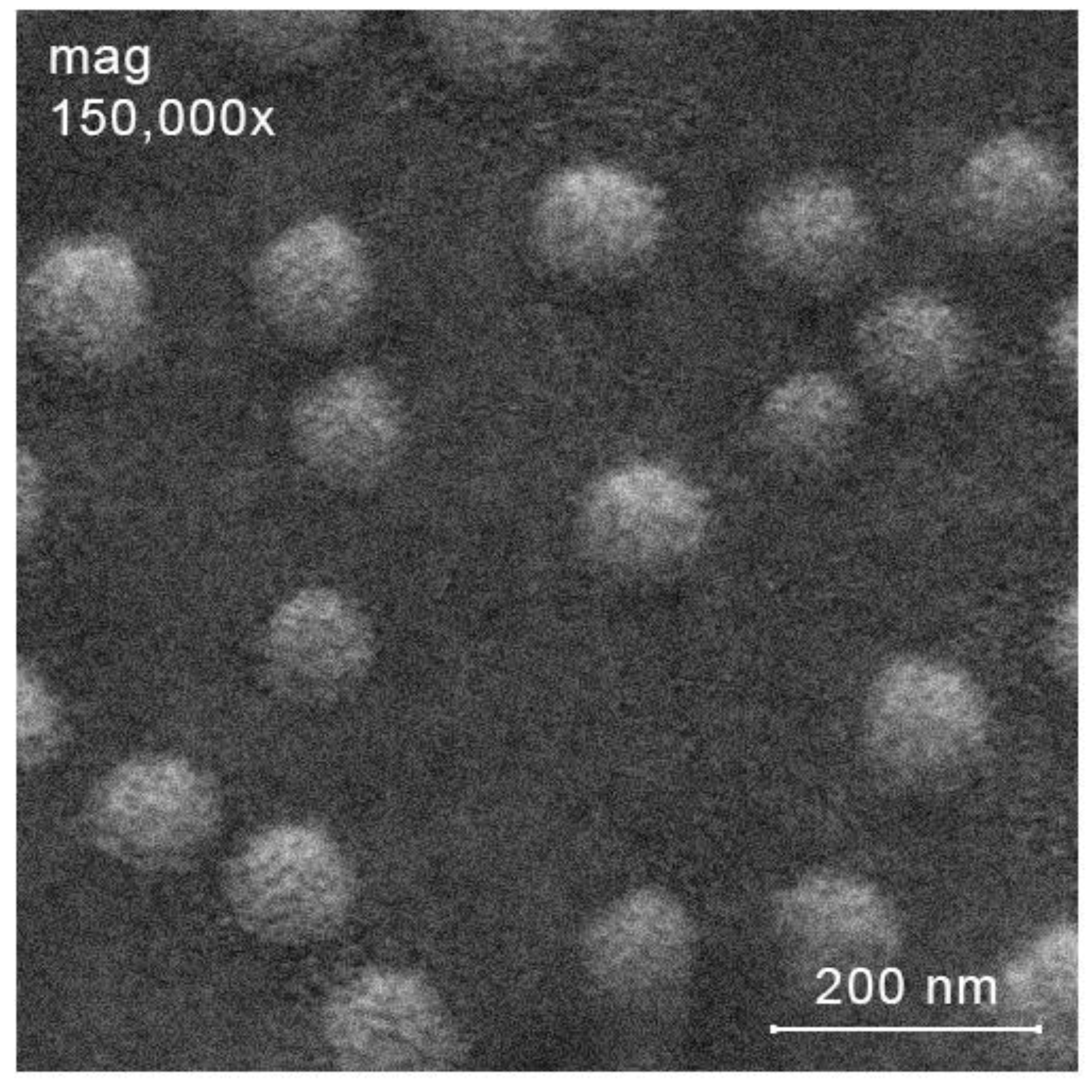 Molecules 27 08865 g002 Molecules 27 08865 g002