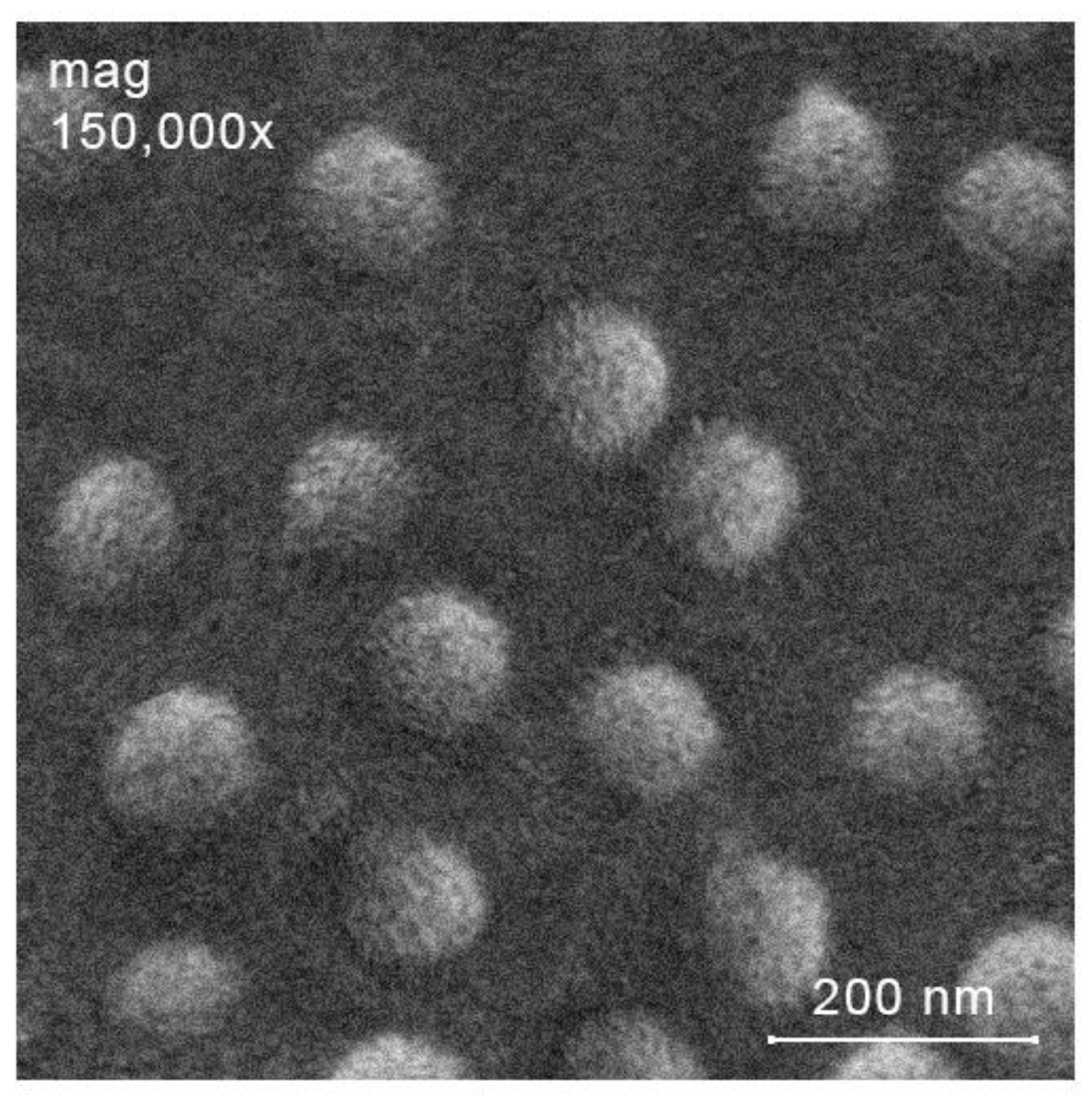 Molecules 27 08865 g004 Molecules 27 08865 g004