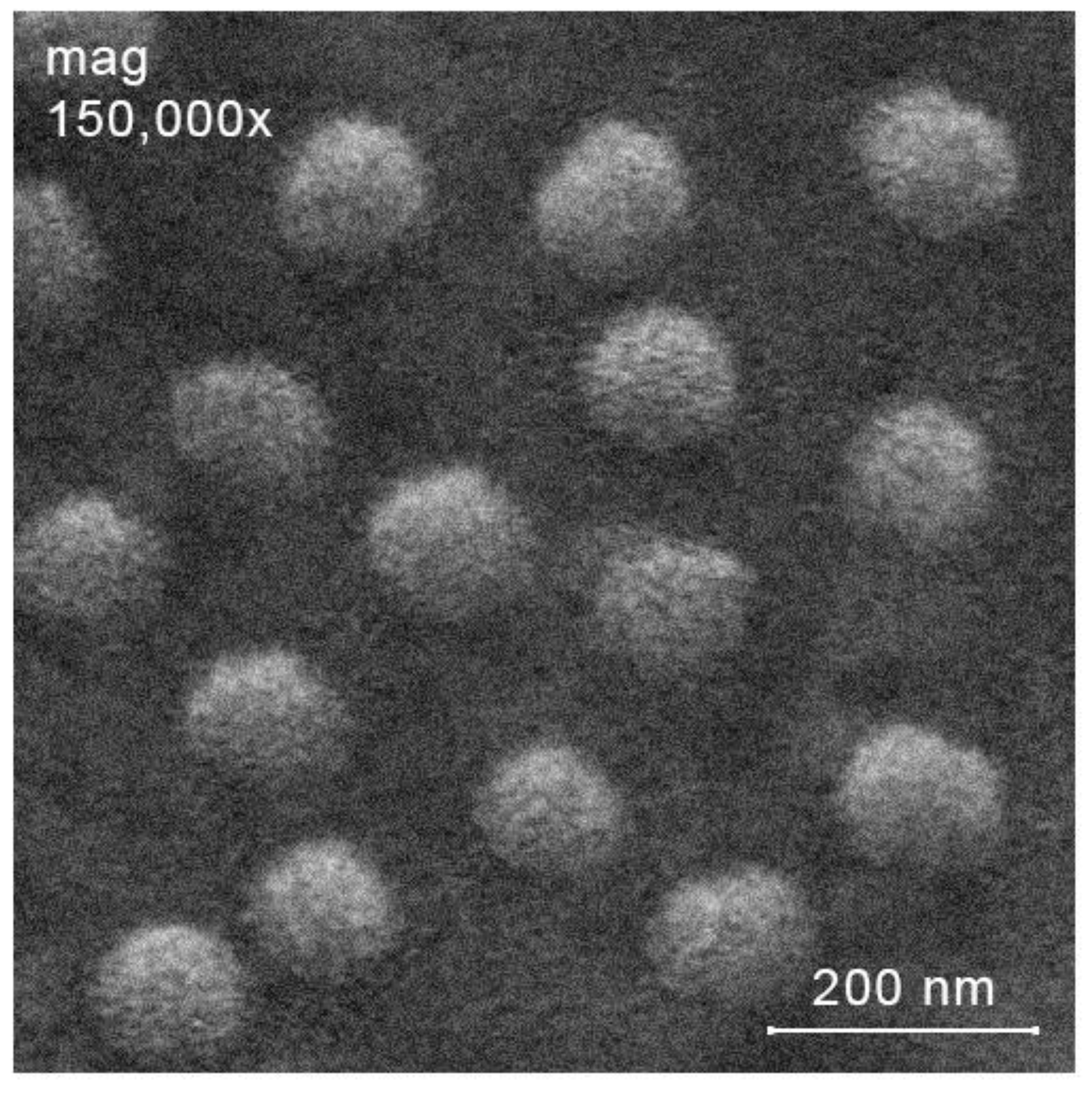 Molecules 27 08865 g005 Molecules 27 08865 g005