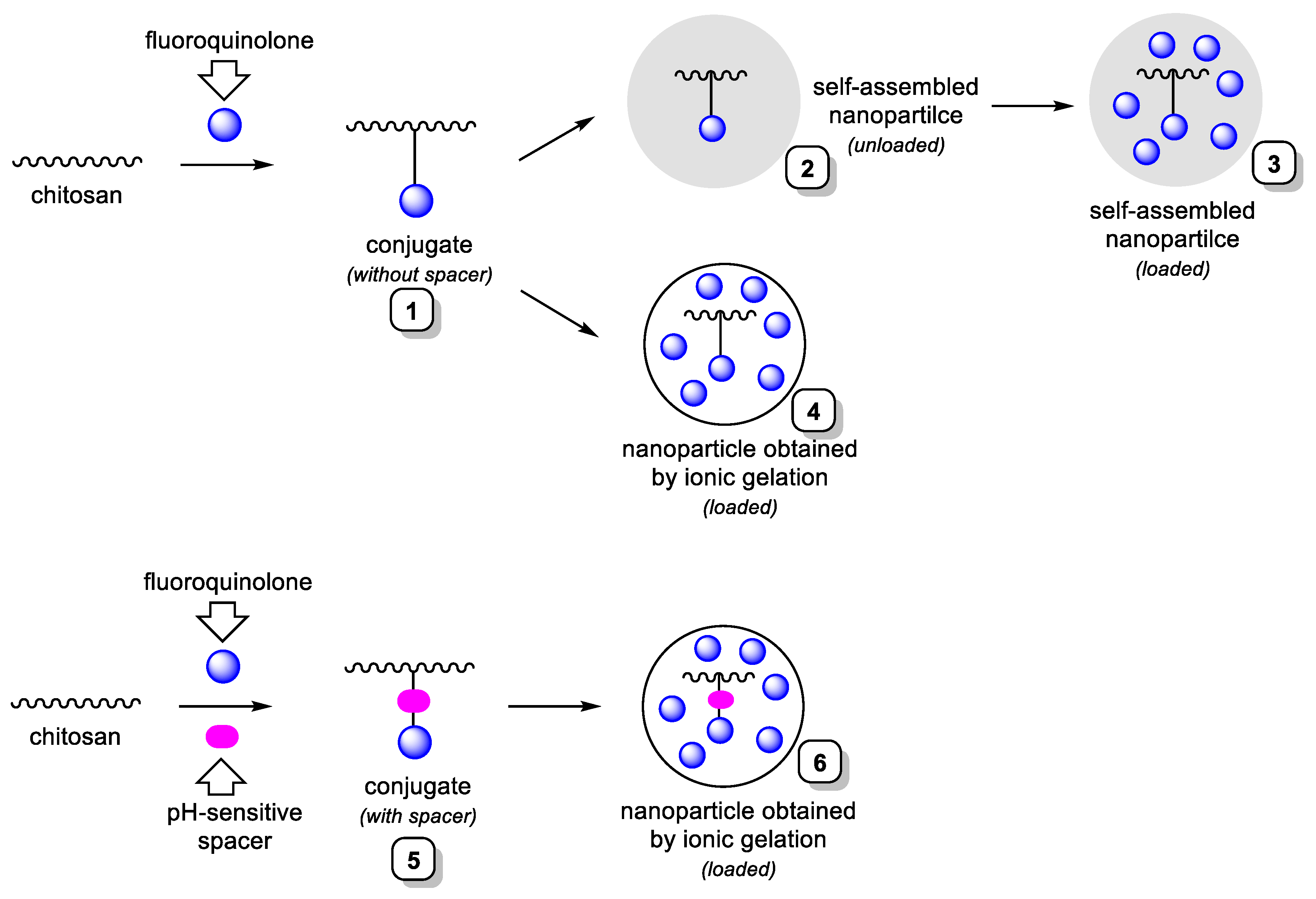 Molecules 27 08865 sch001 Molecules 27 08865 sch001