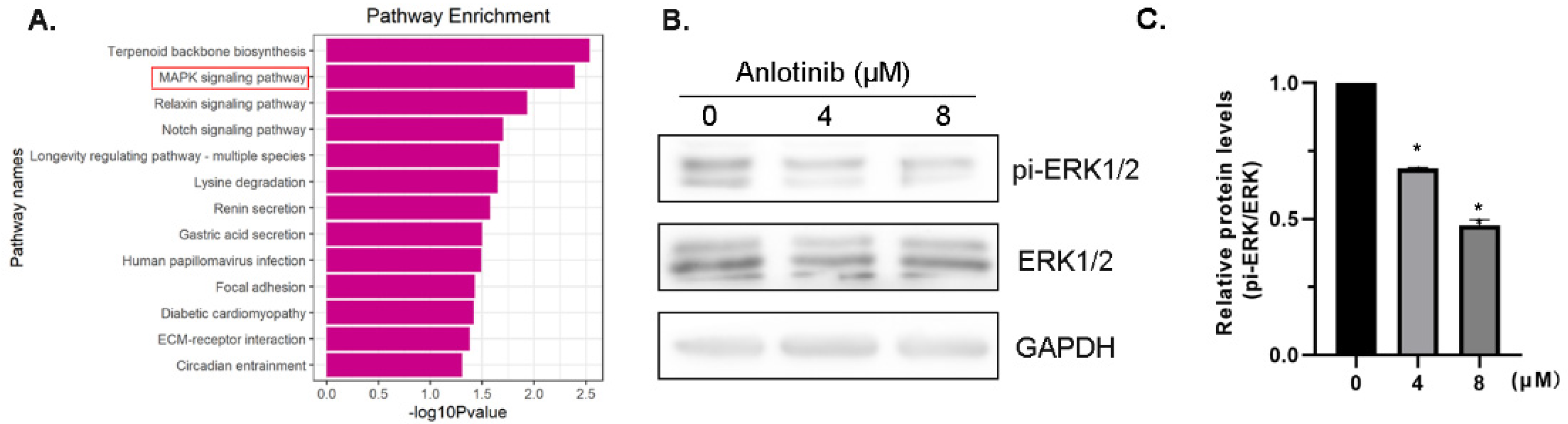 Molecules 27 08873 g004 Molecules 27 08873 g004