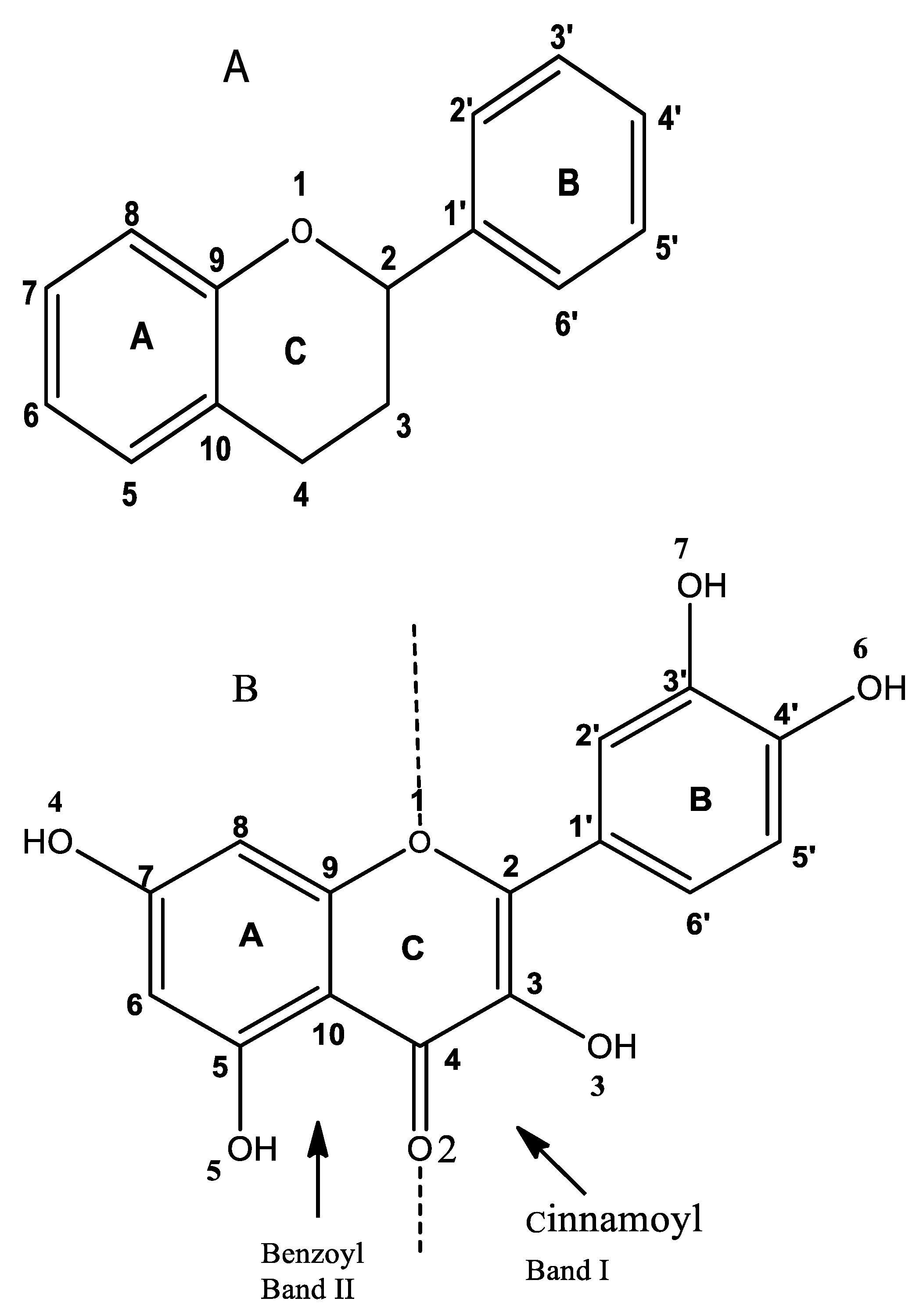 Molecules 27 08874 g001