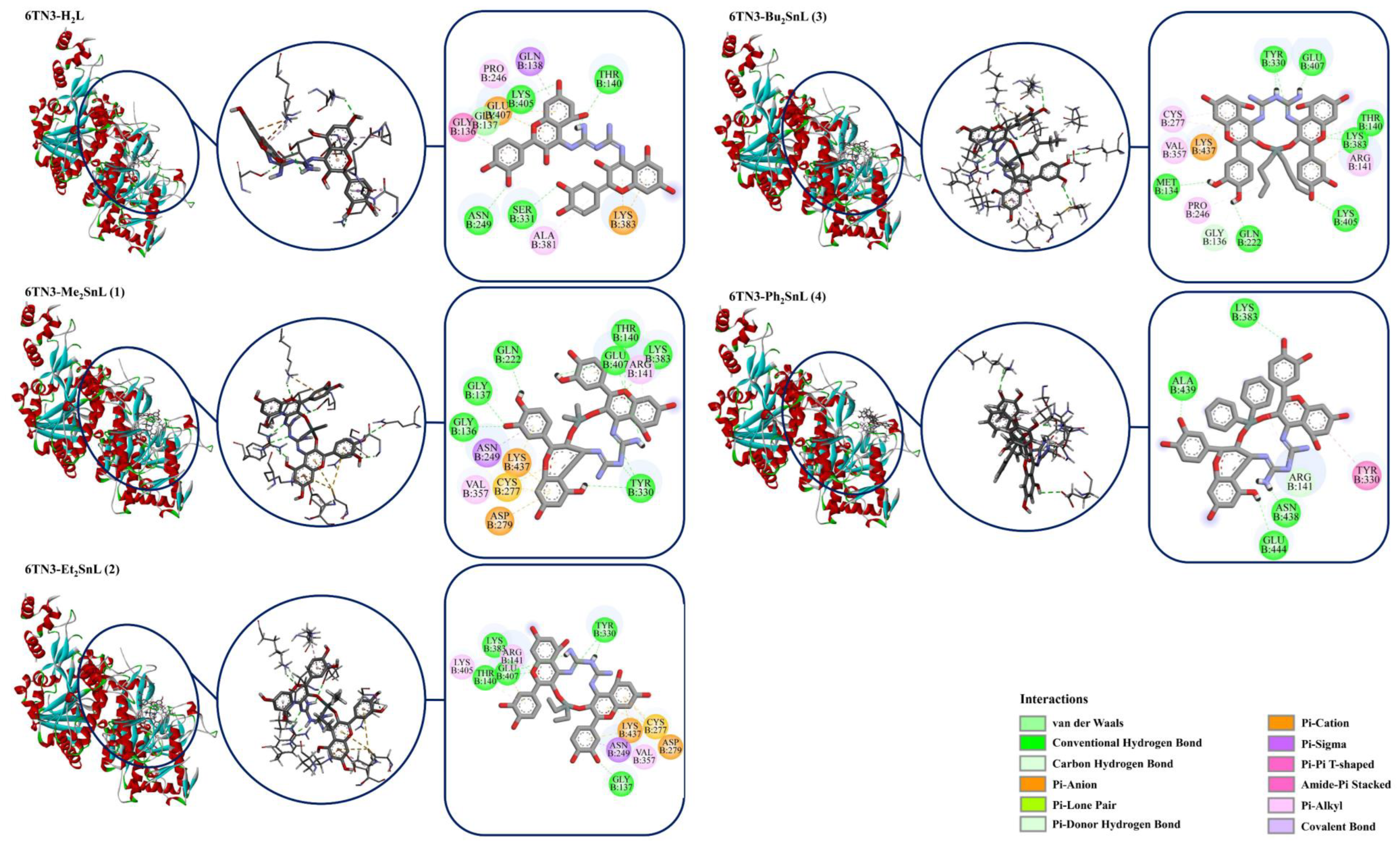 Molecules 27 08874 g004