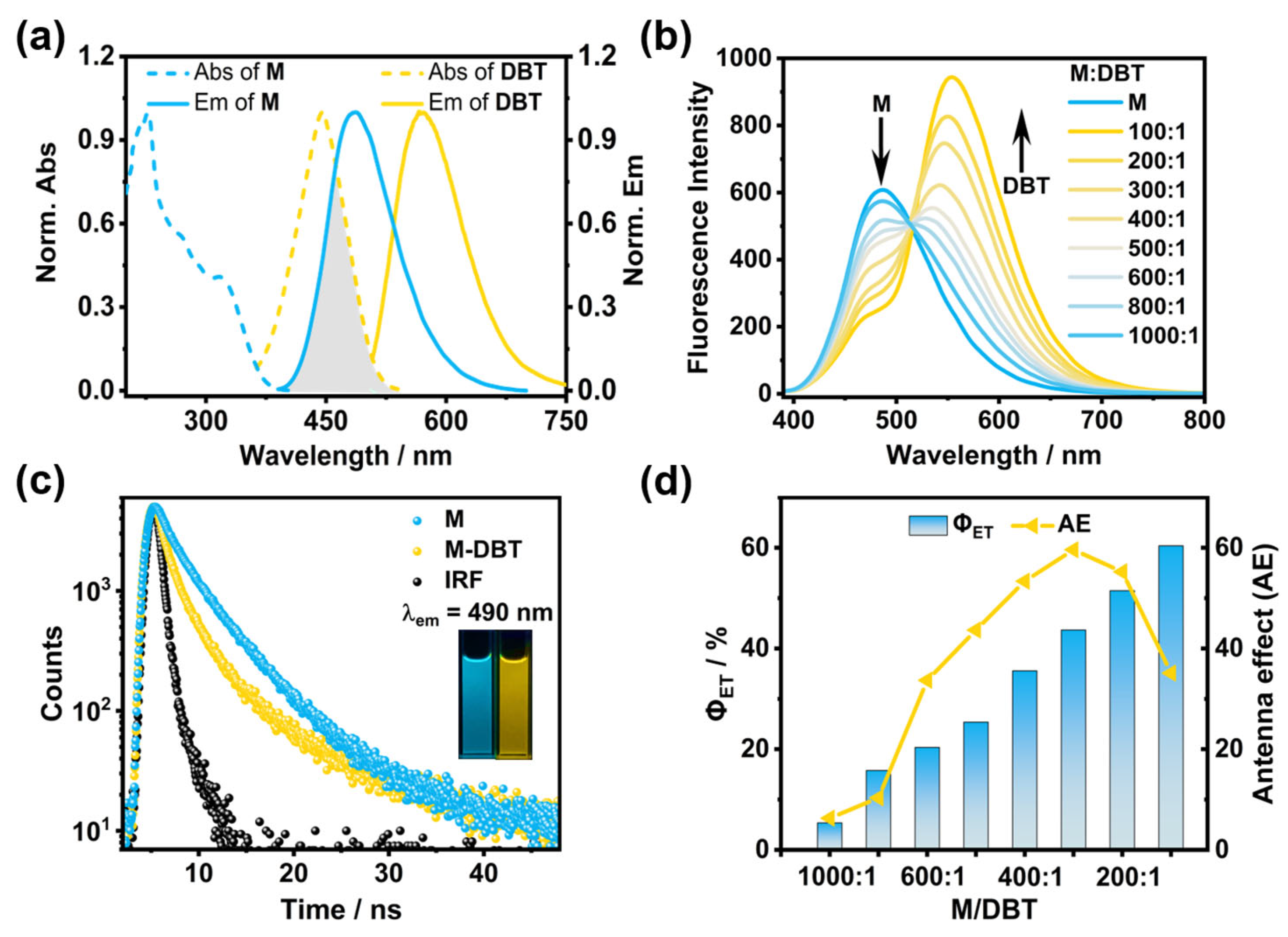 Molecules 27 08876 g003 Molecules 27 08876 g003