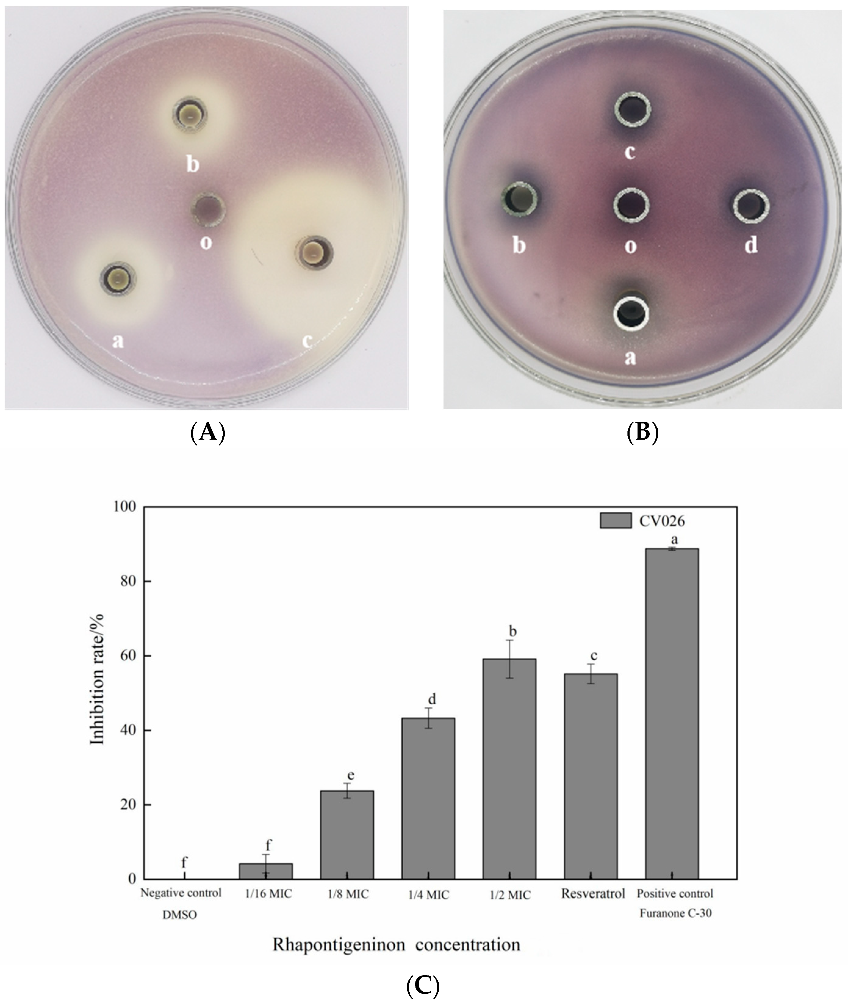 Molecules 27 08878 g002 Molecules 27 08878 g002