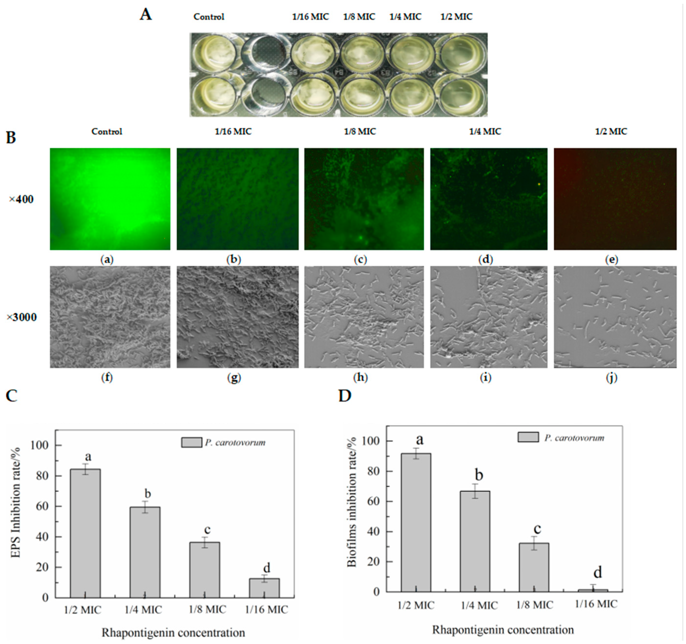 Molecules 27 08878 g004 Molecules 27 08878 g004