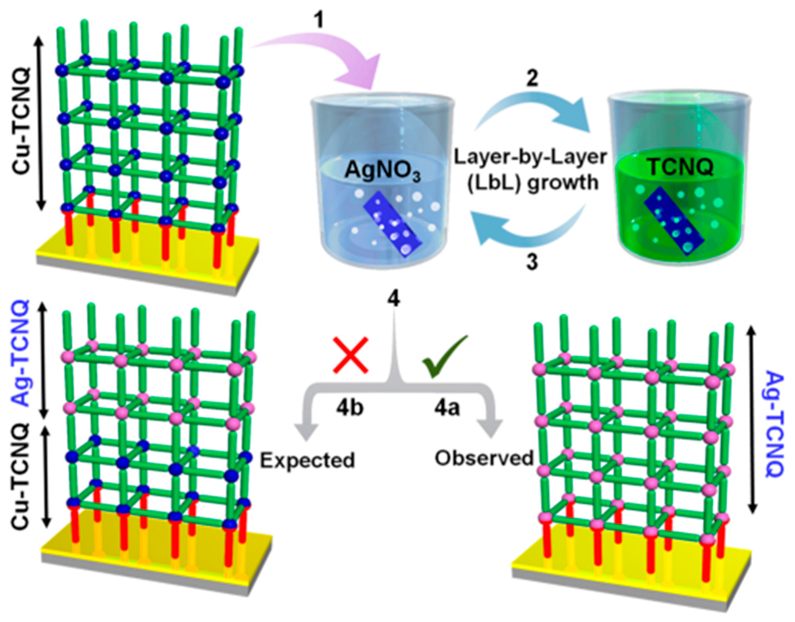 Molecules 27 08888 g014 Molecules 27 08888 g014