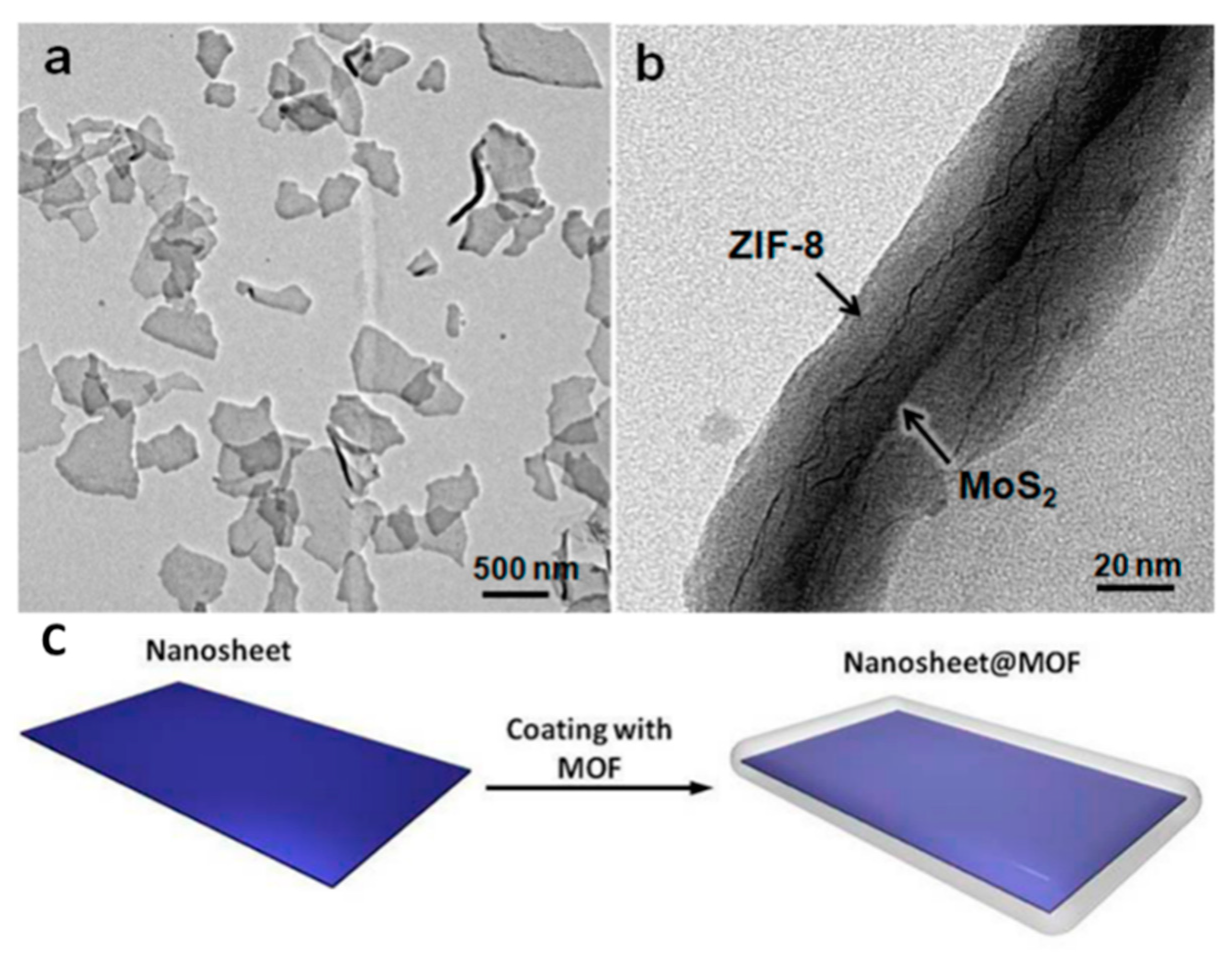 Molecules 27 08888 g015 Molecules 27 08888 g015
