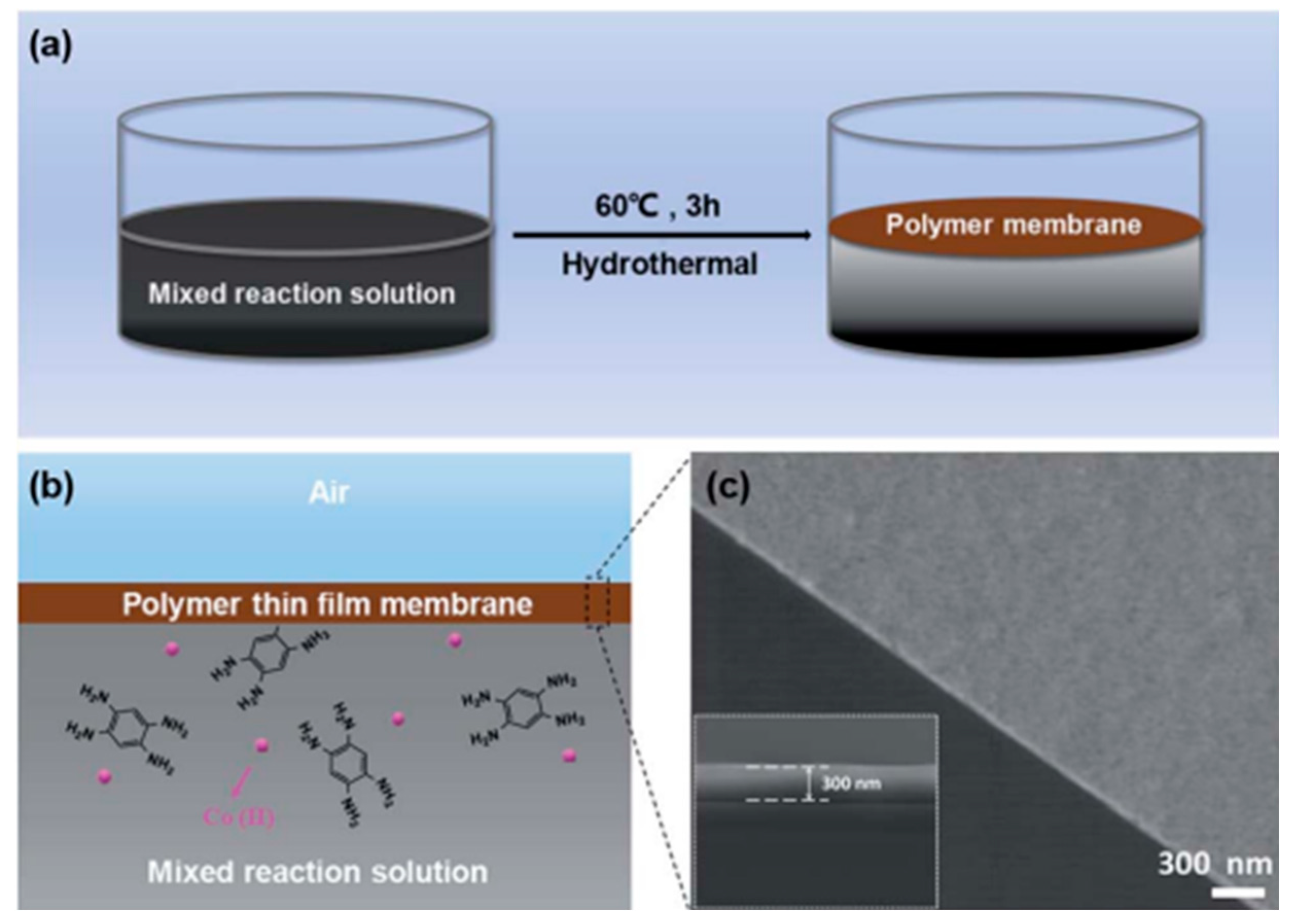 Molecules 27 08888 g016 Molecules 27 08888 g016