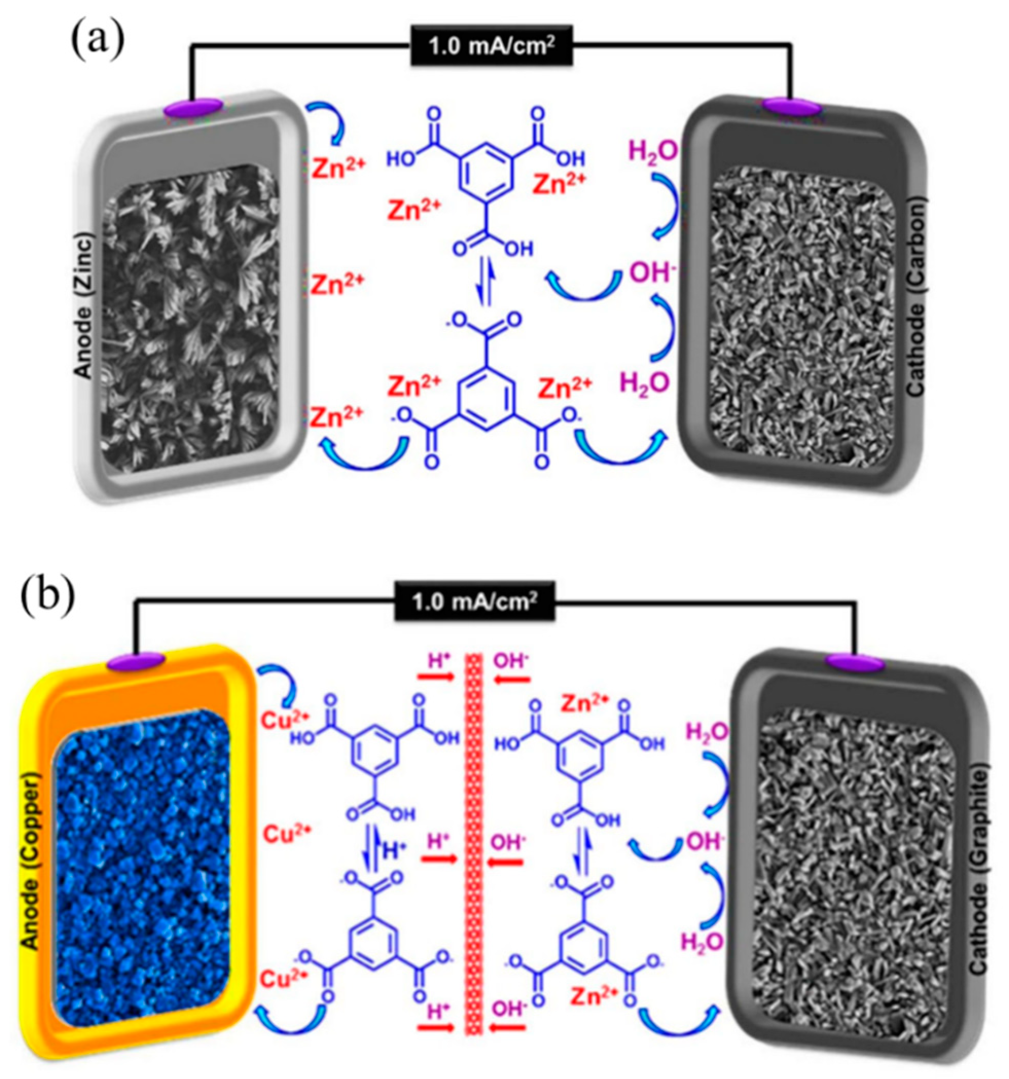 Molecules 27 08888 g017 Molecules 27 08888 g017