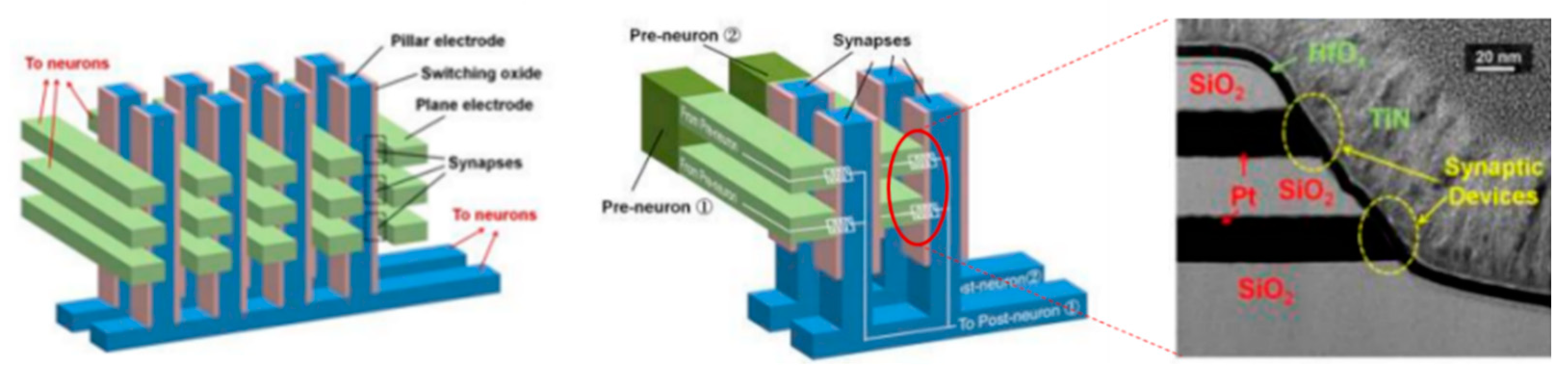 Molecules 27 08888 g025 Molecules 27 08888 g025