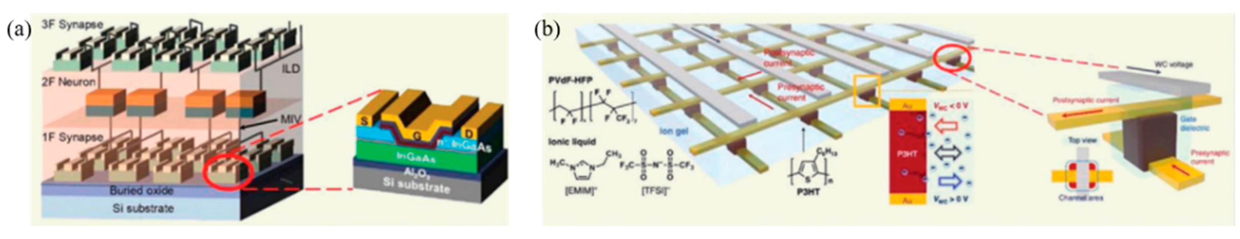 Molecules 27 08888 g026 Molecules 27 08888 g026