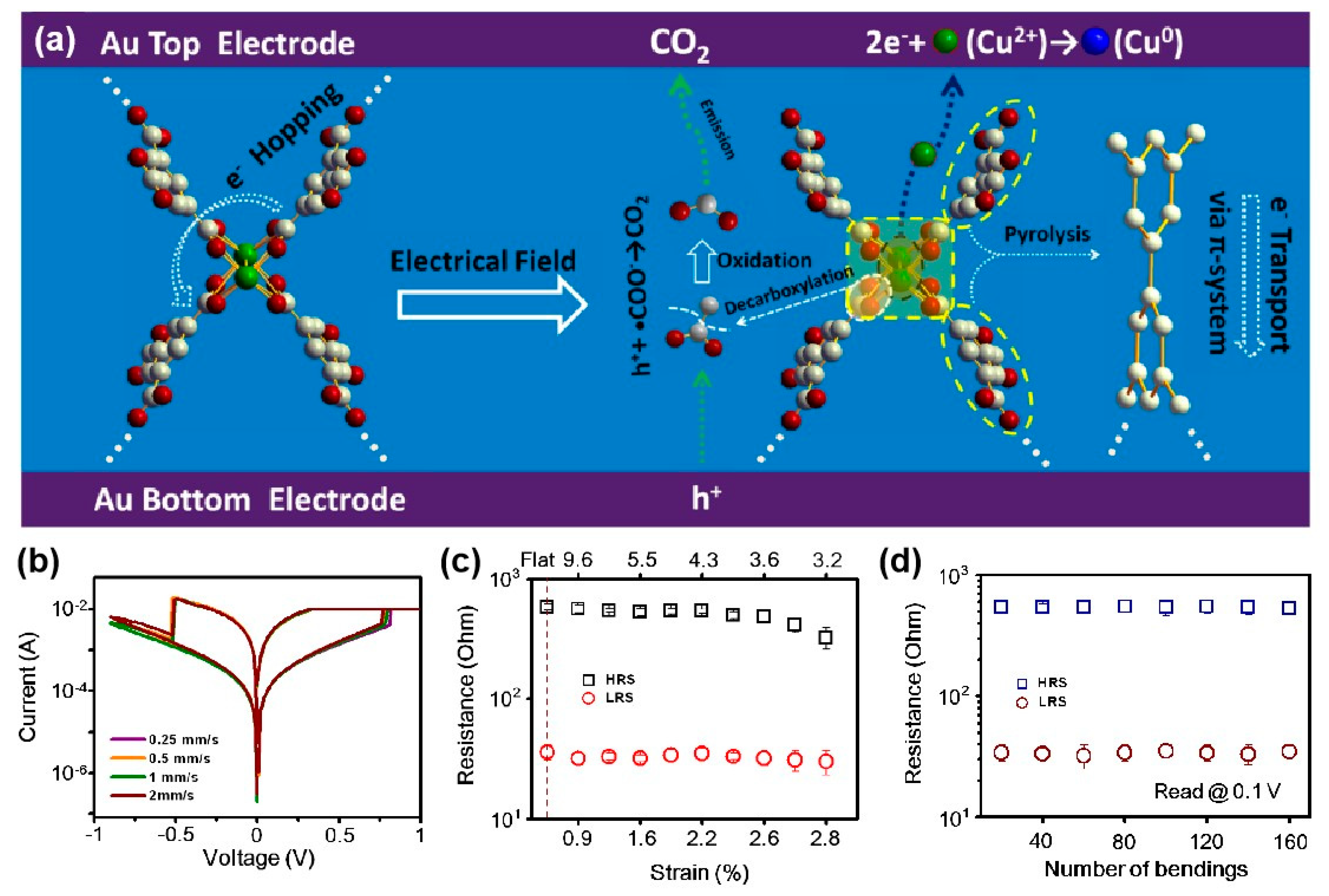 Molecules 27 08888 g038 Molecules 27 08888 g038