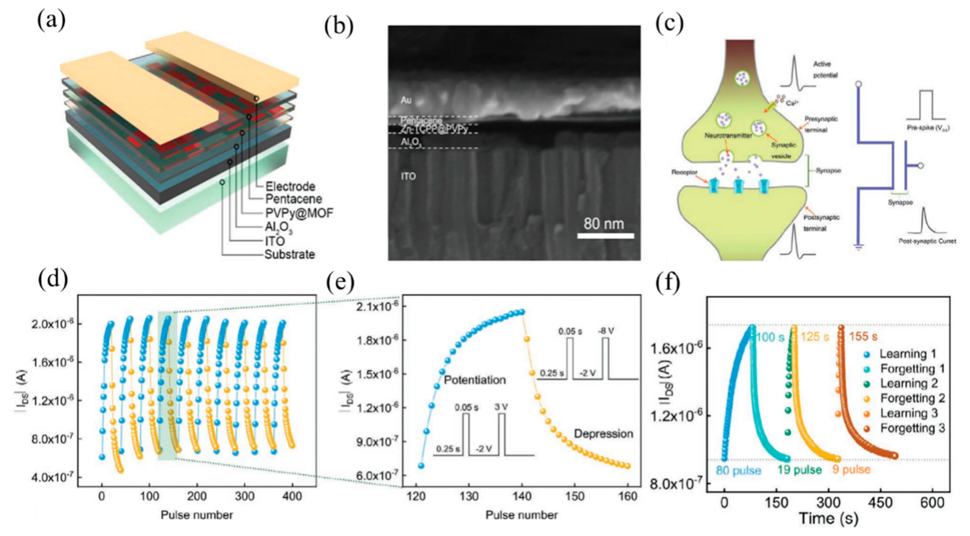Molecules 27 08888 g042 Molecules 27 08888 g042