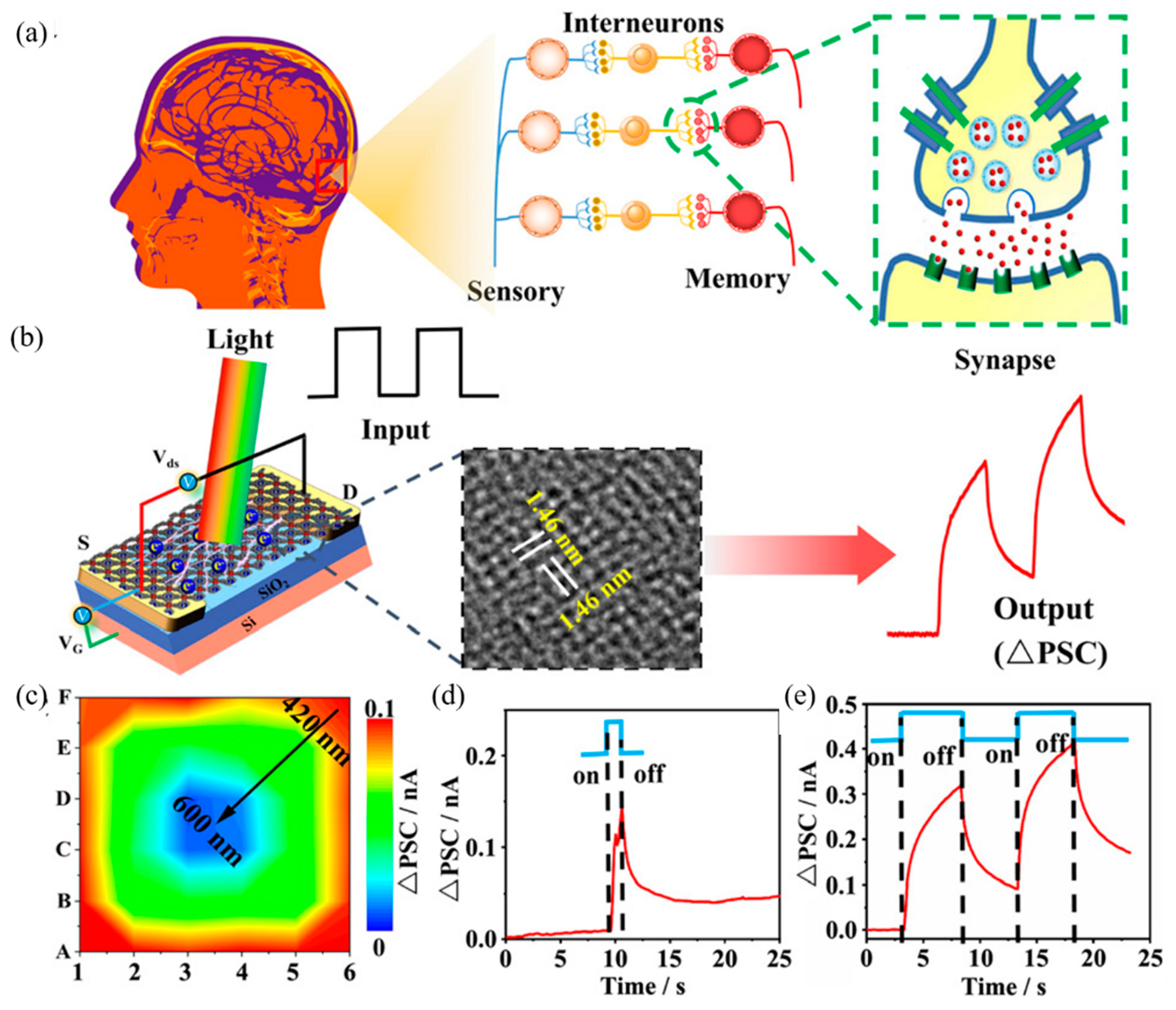 Molecules 27 08888 g044 Molecules 27 08888 g044