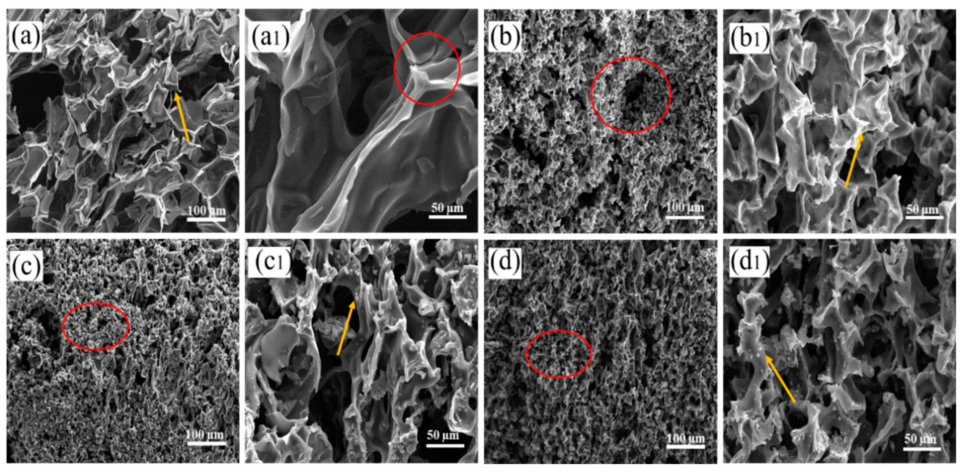 Molecules 27 08892 g007 Molecules 27 08892 g007