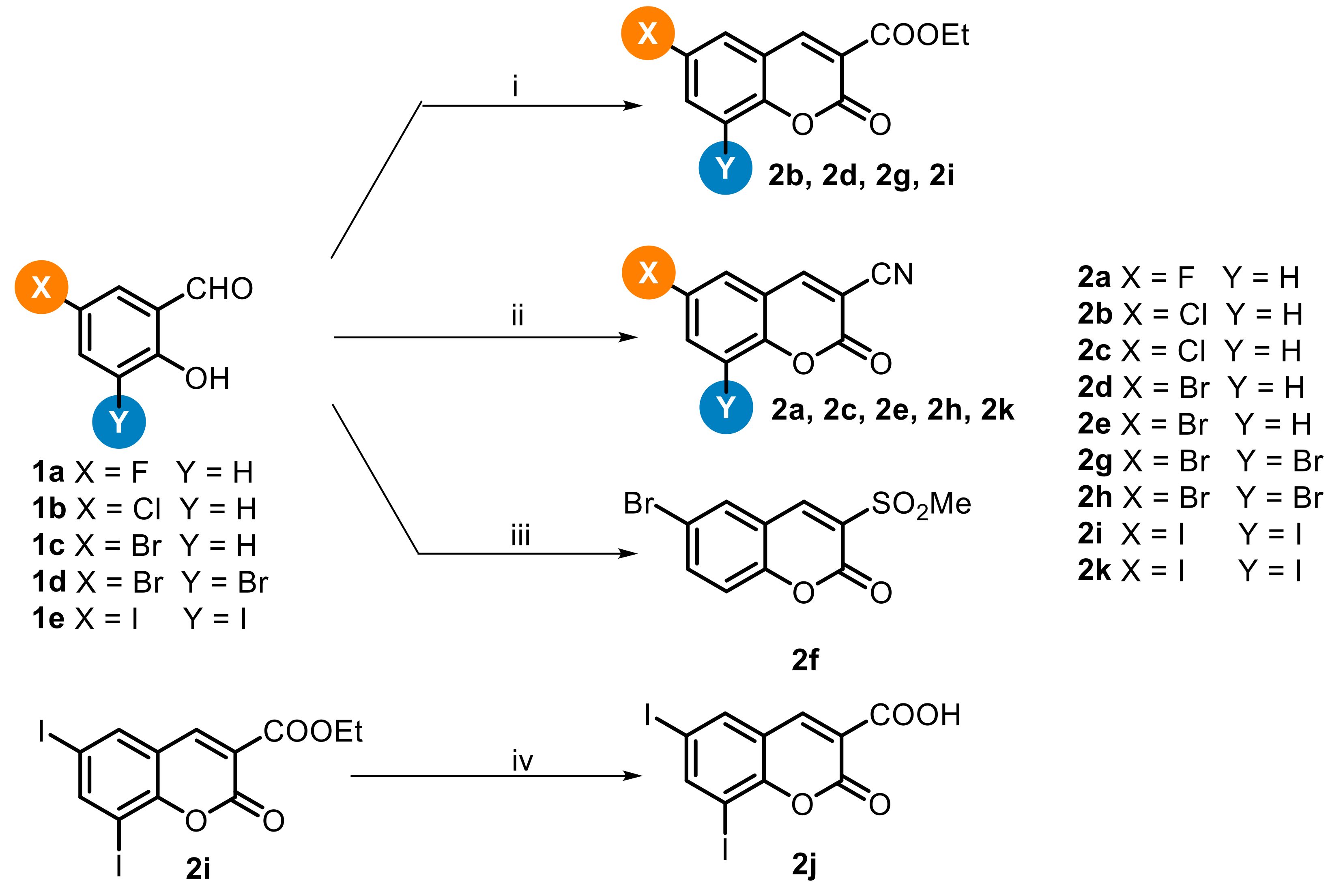 Molecules 27 08897 sch001 Molecules 27 08897 sch001