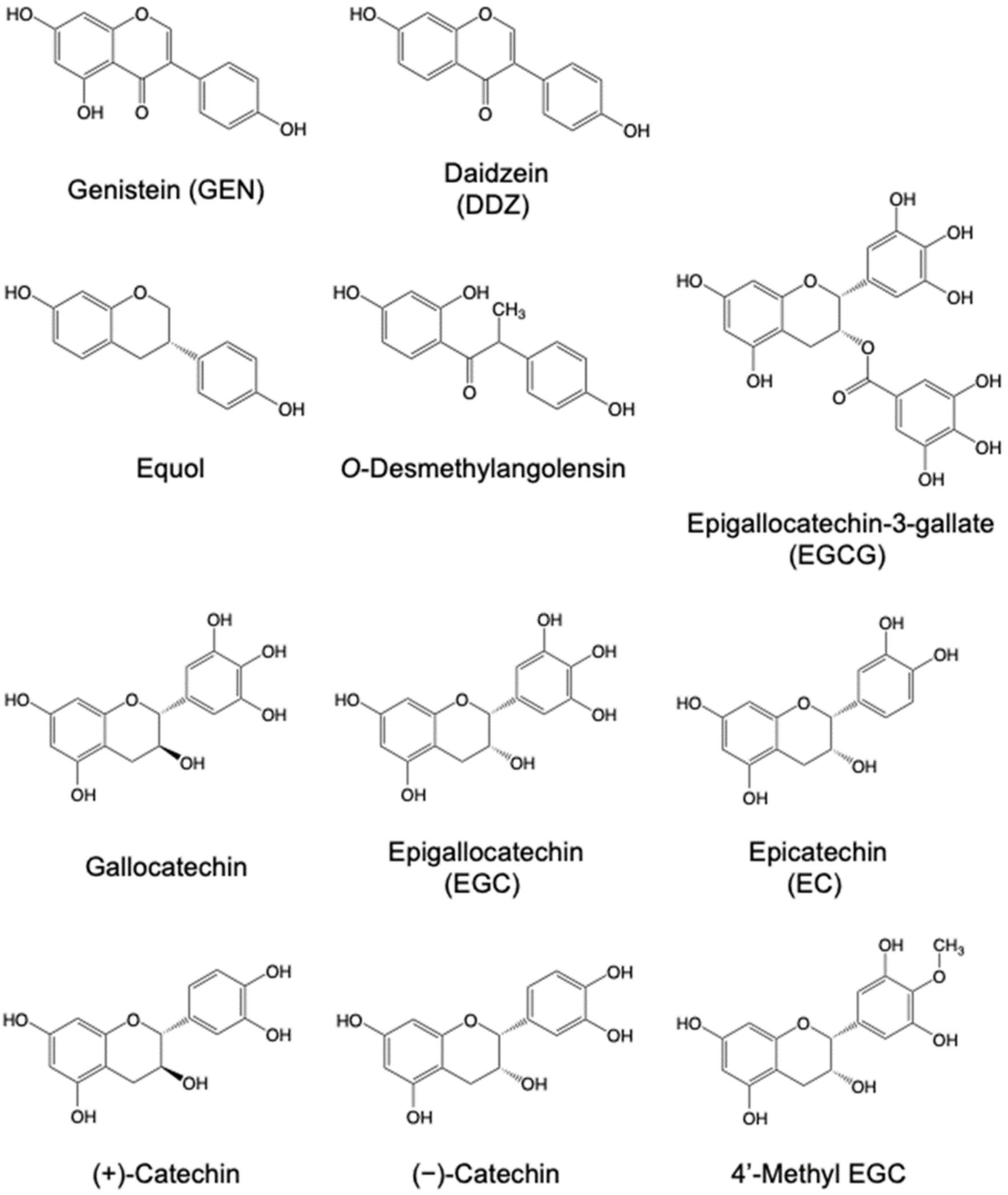 Molecules 27 08899 g001 Molecules 27 08899 g001