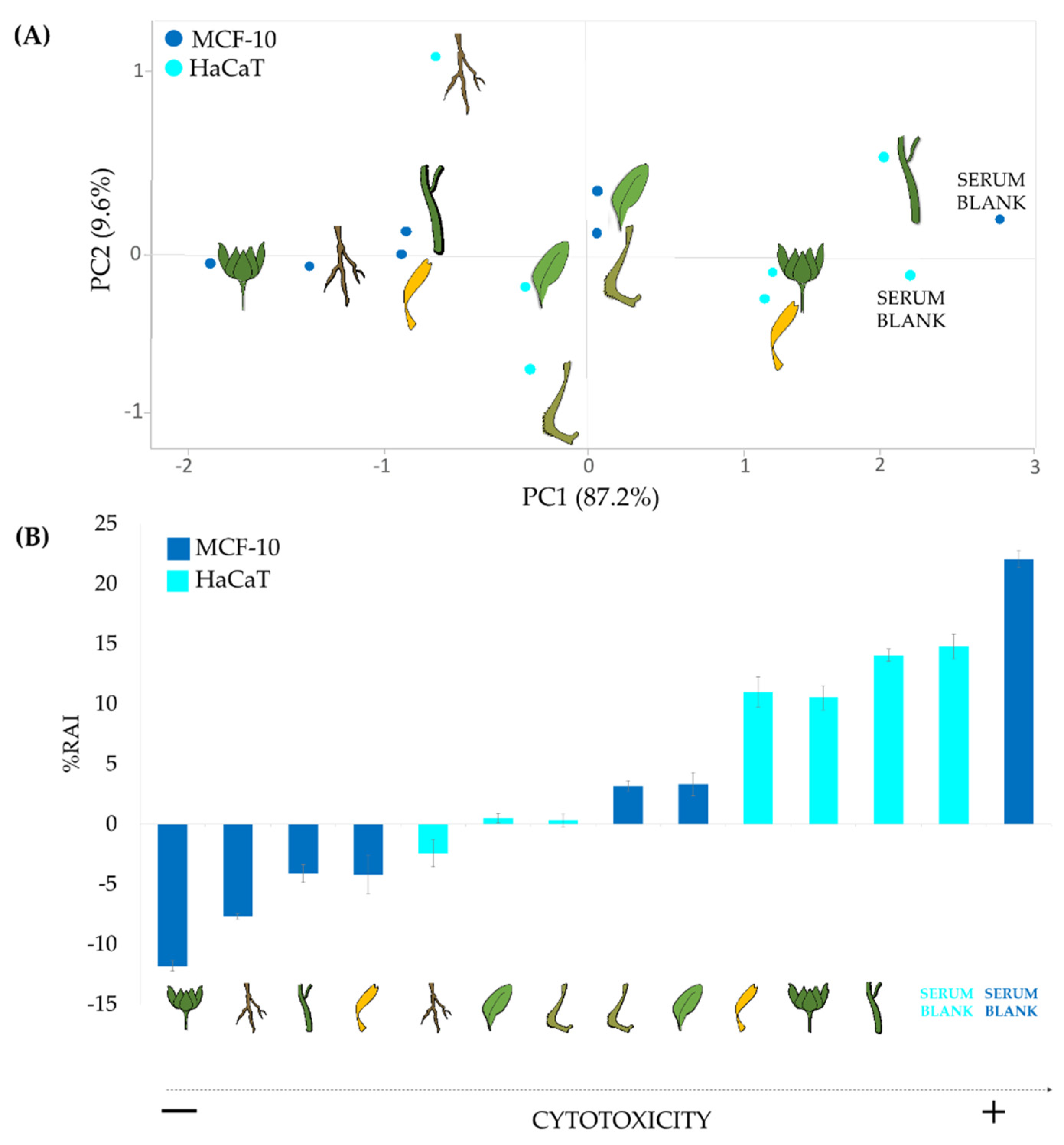 Molecules 27 08905 g007 Molecules 27 08905 g007
