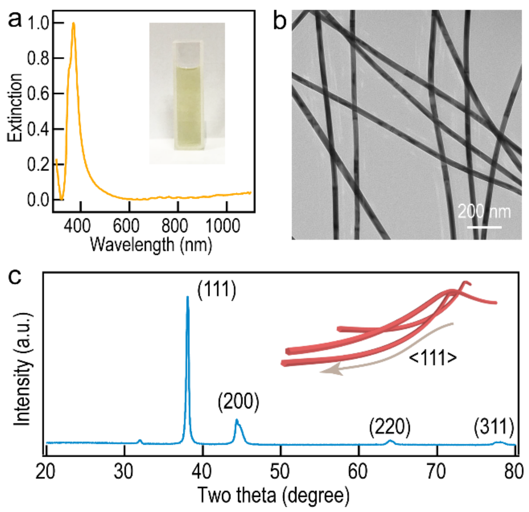 Molecules 27 08907 g001 Molecules 27 08907 g001