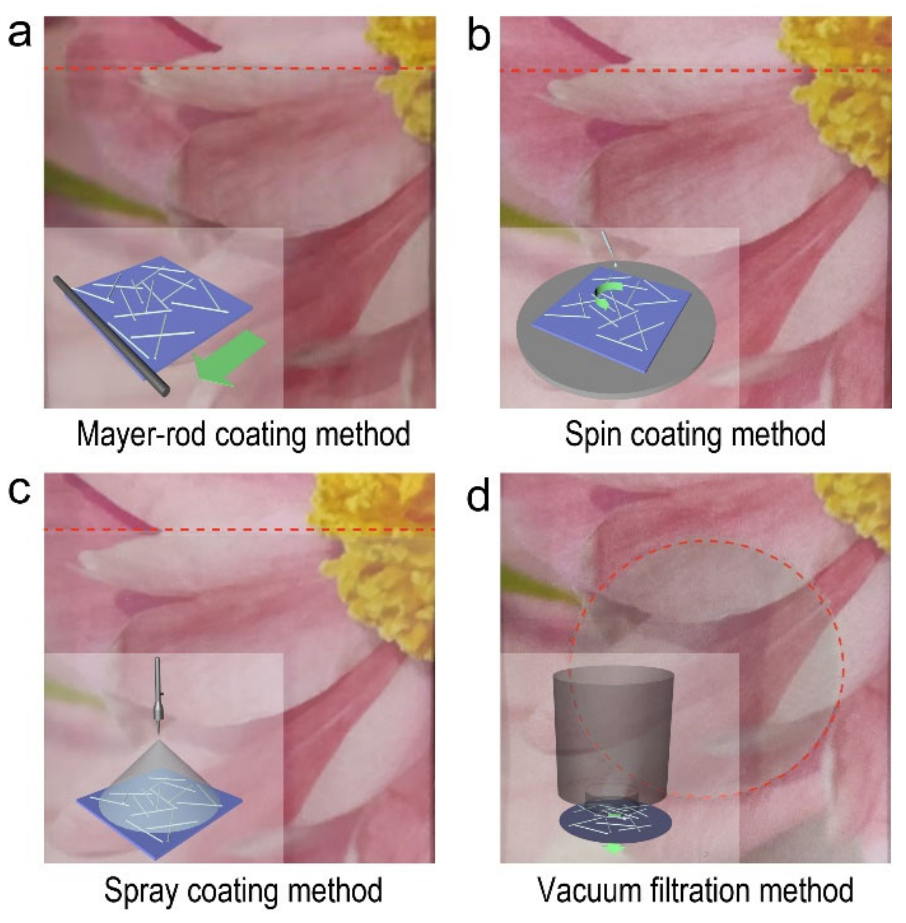 Molecules 27 08907 g002 Molecules 27 08907 g002