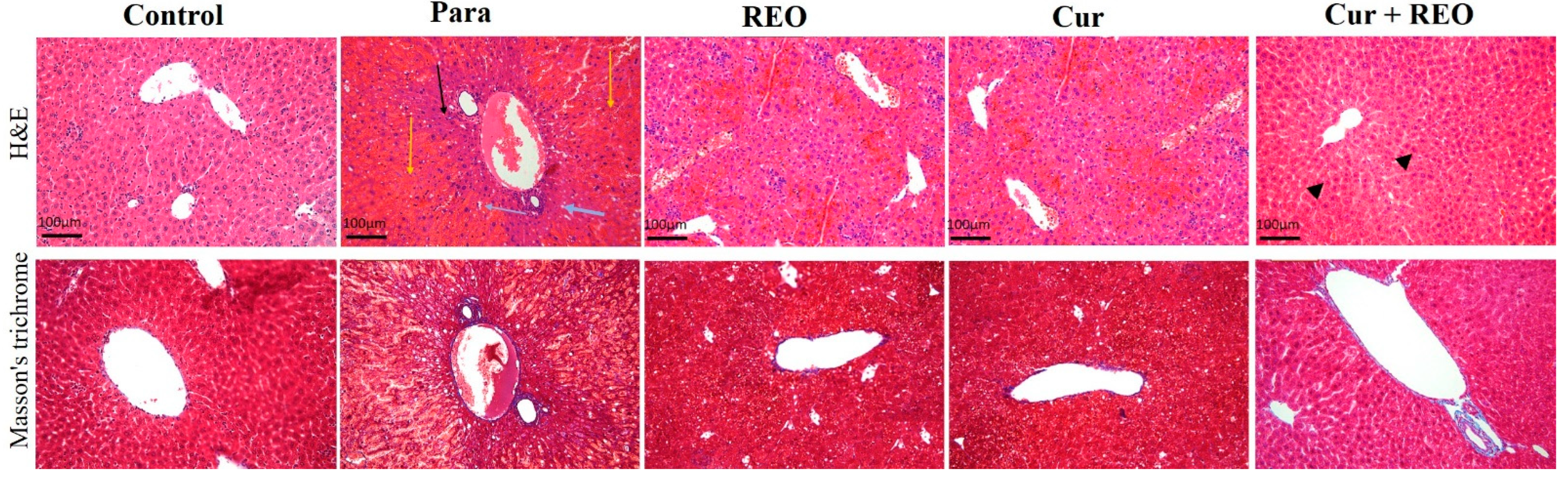 Molecules 27 08910 g003