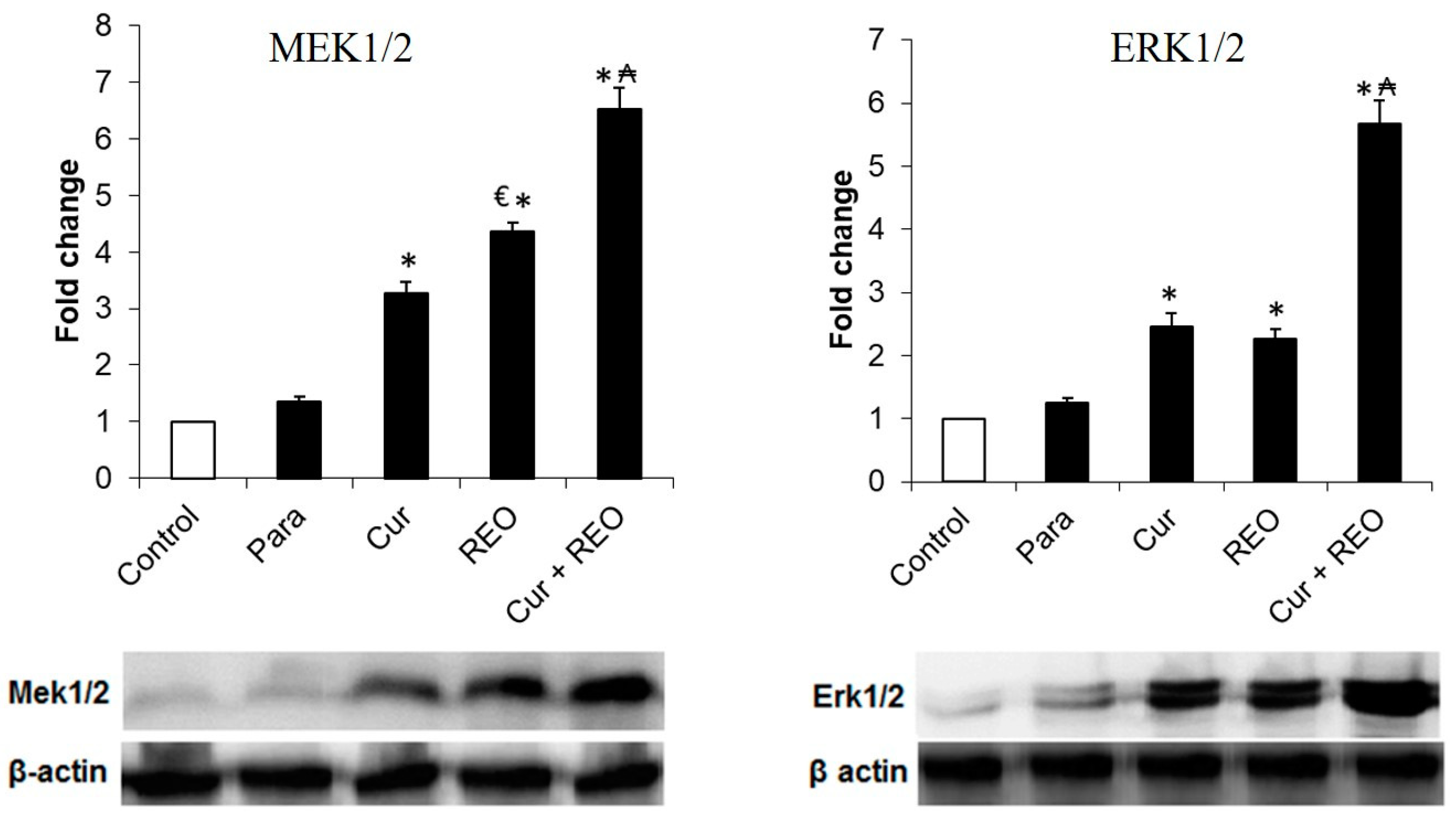 Molecules 27 08910 g007