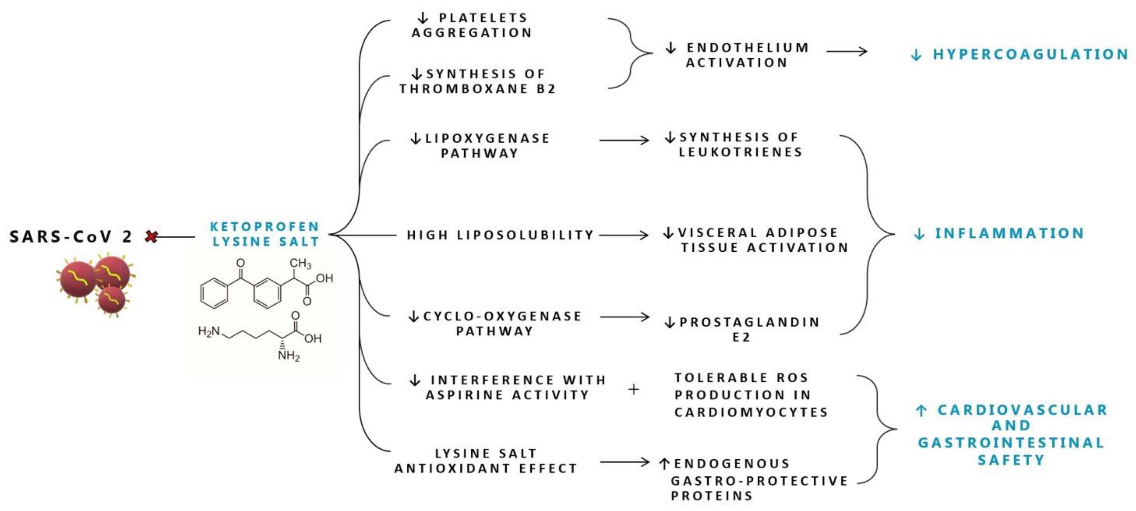 Molecules Free FullText Strategies Tackling Viral Replication and