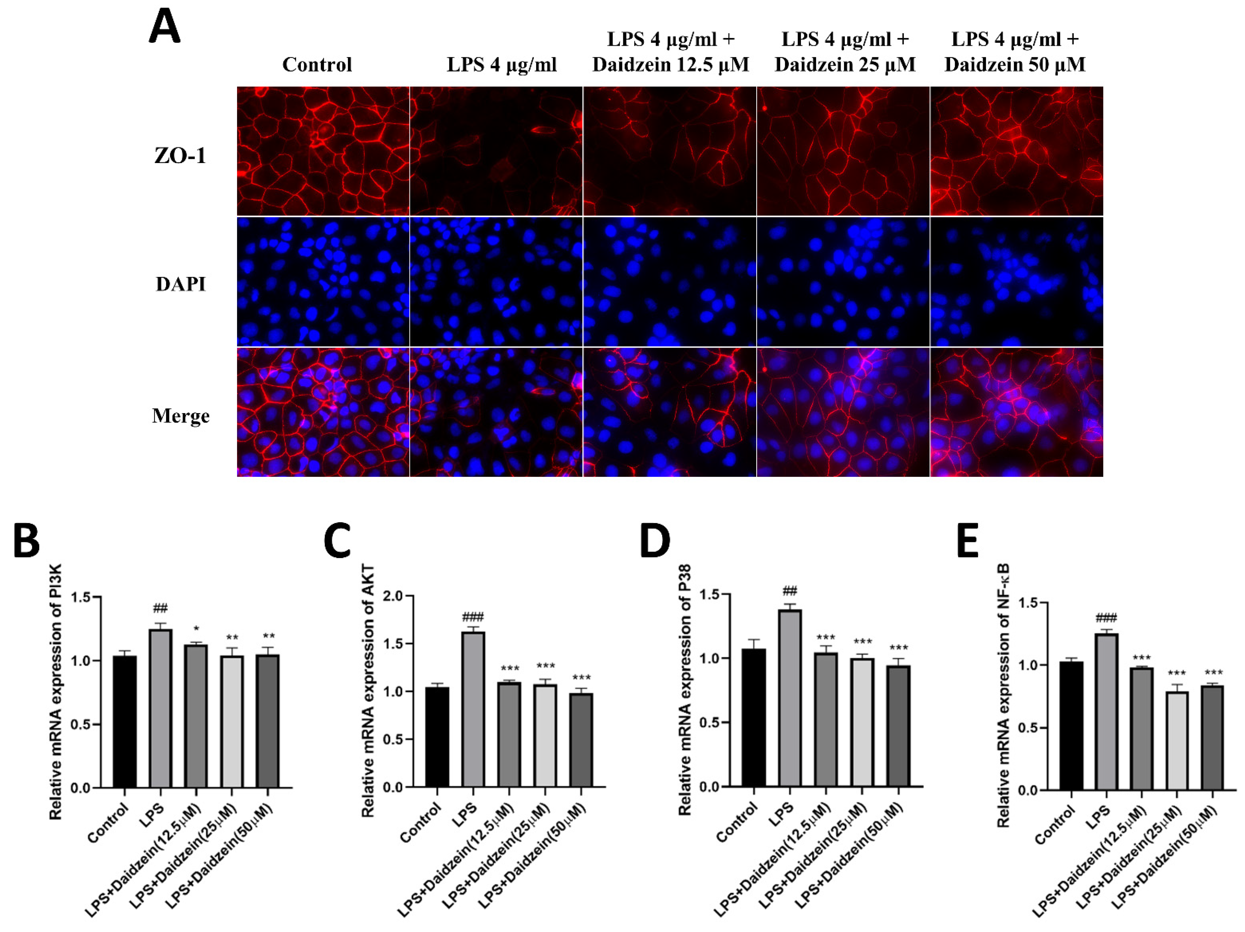 Molecules 27 08928 g004 Molecules 27 08928 g004