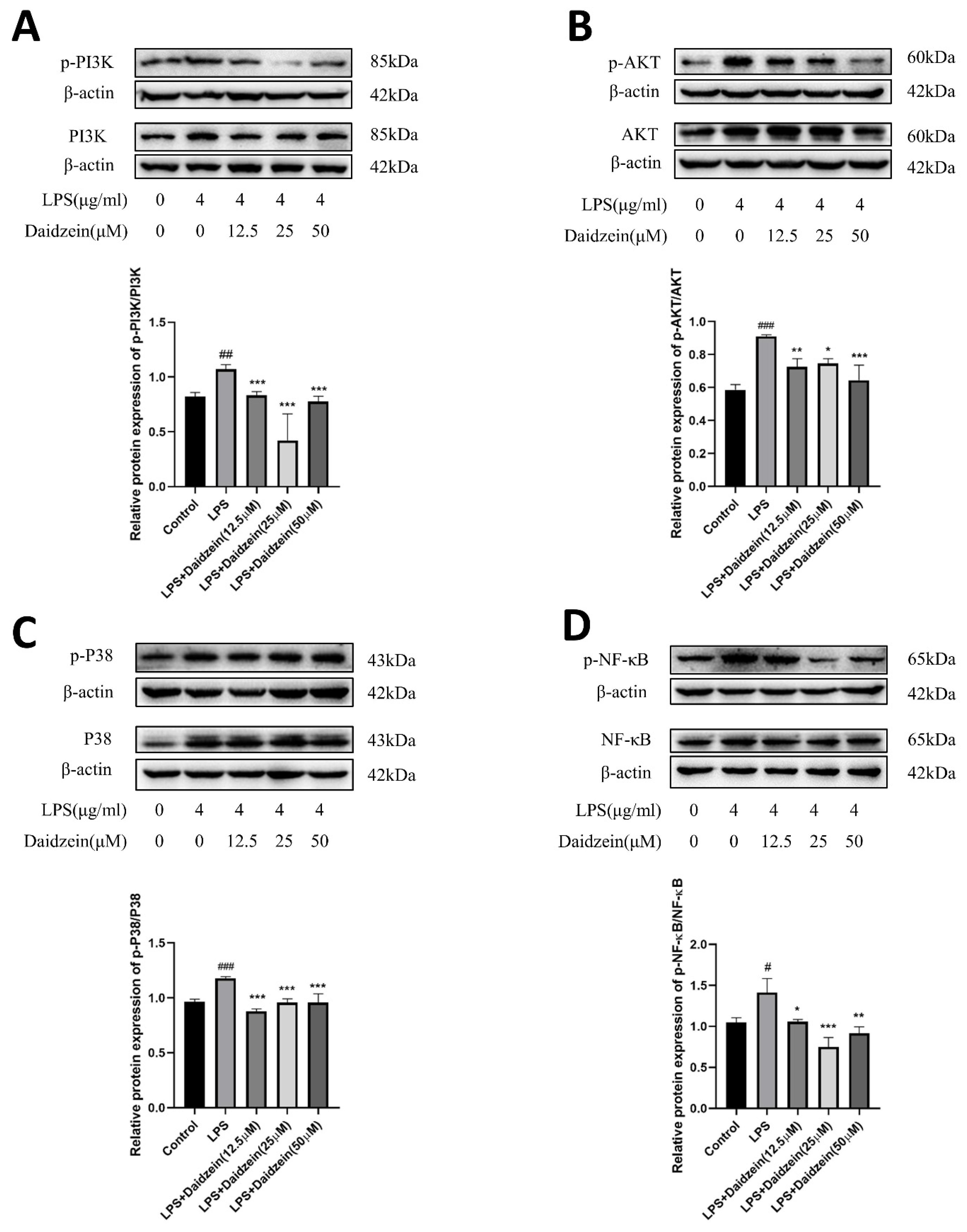 Molecules 27 08928 g005 Molecules 27 08928 g005