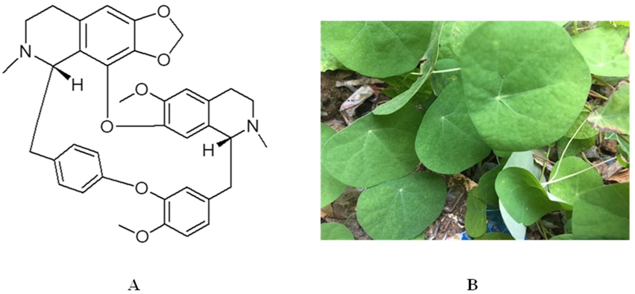 Molecules 27 08933 g001
