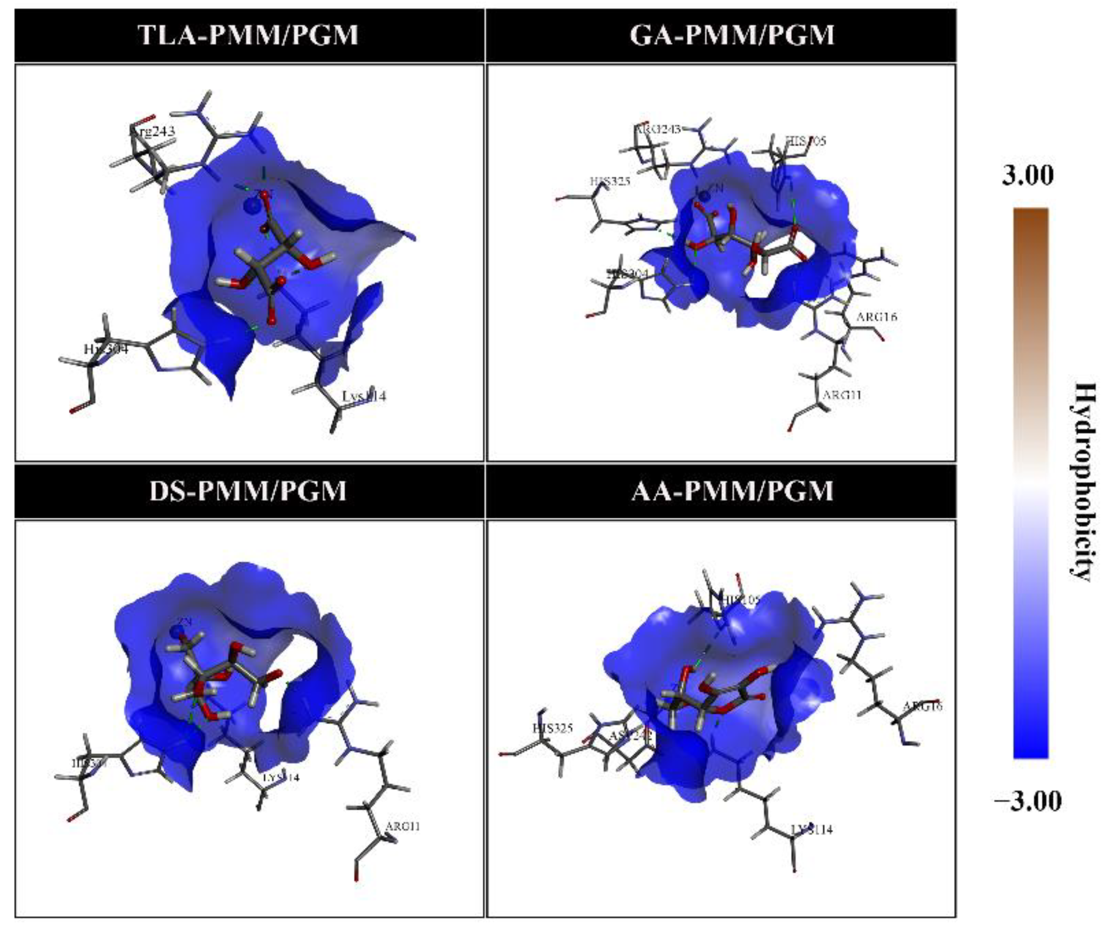Molecules 27 08935 g006 Molecules 27 08935 g006