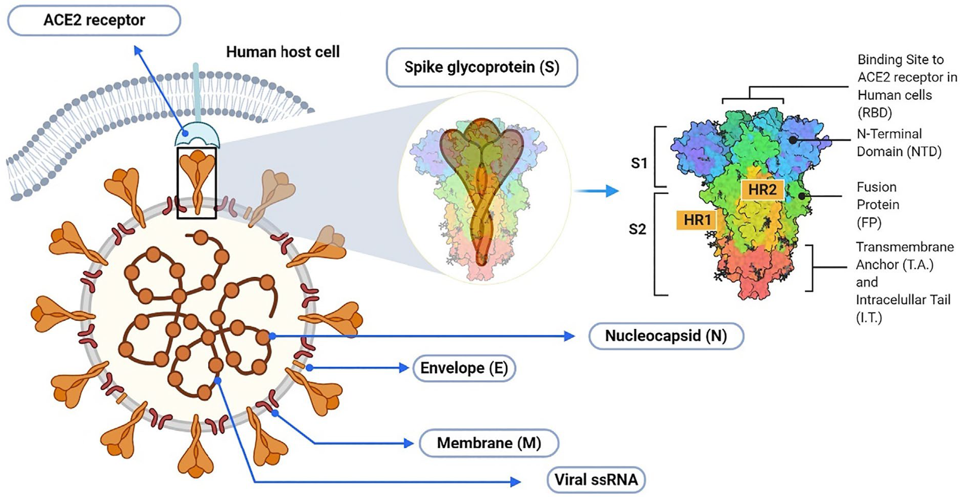 Molecules 27 08938 g001