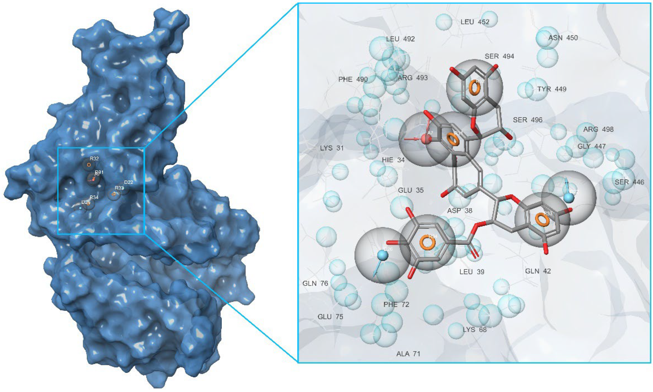 Molecules 27 08938 g004