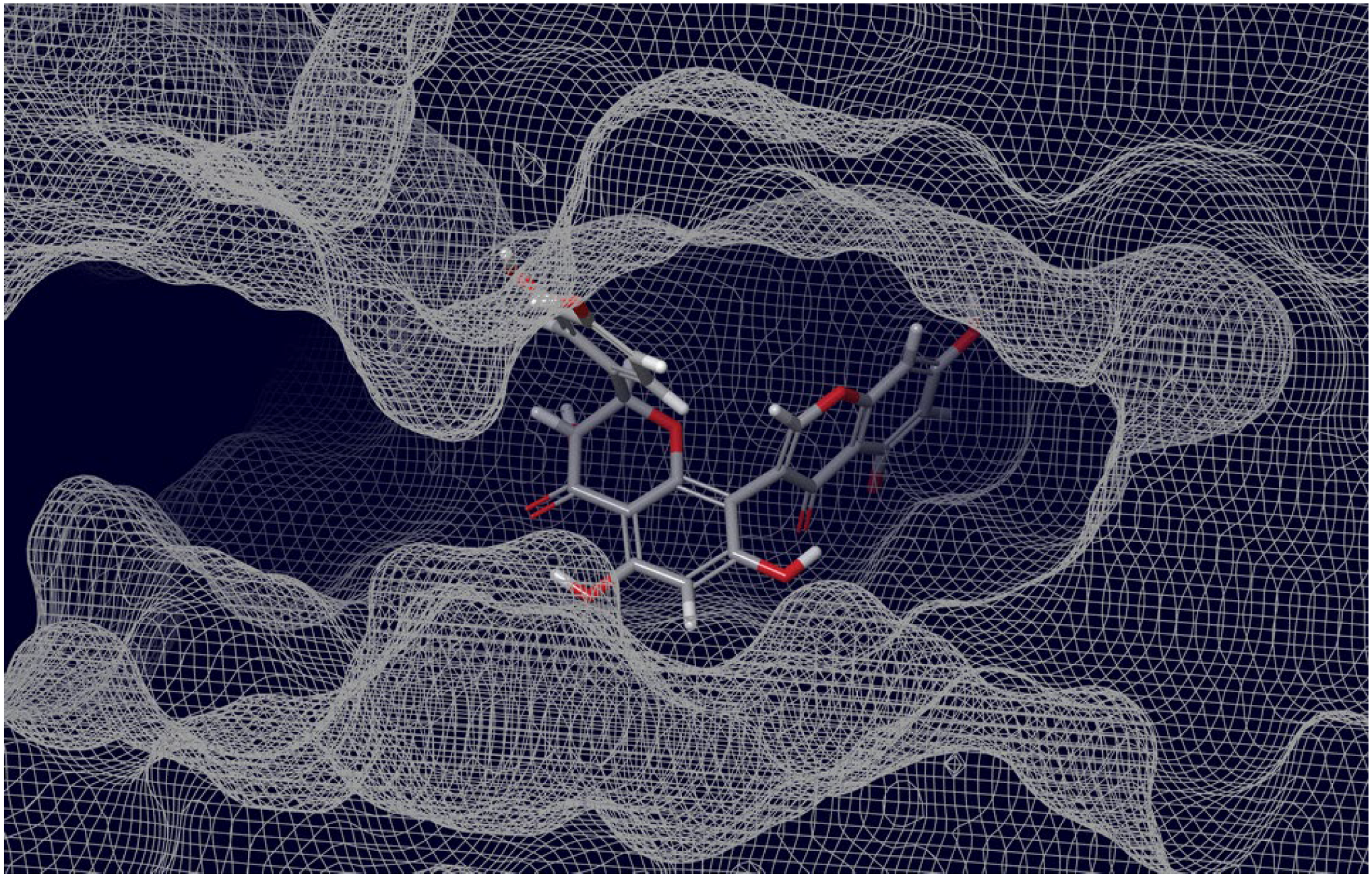 Molecules 27 08938 g010