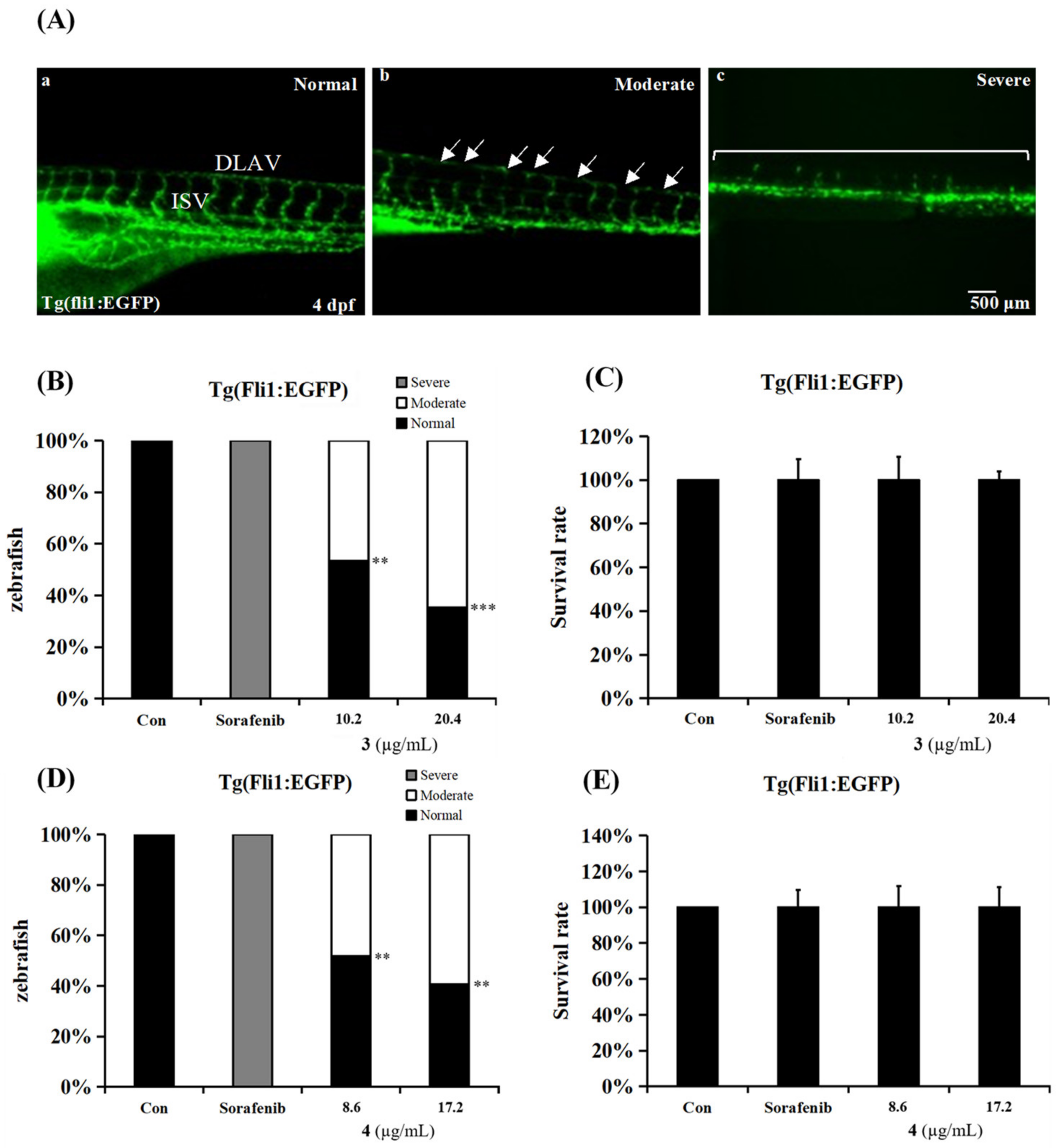 Molecules 27 08940 g005 Molecules 27 08940 g005