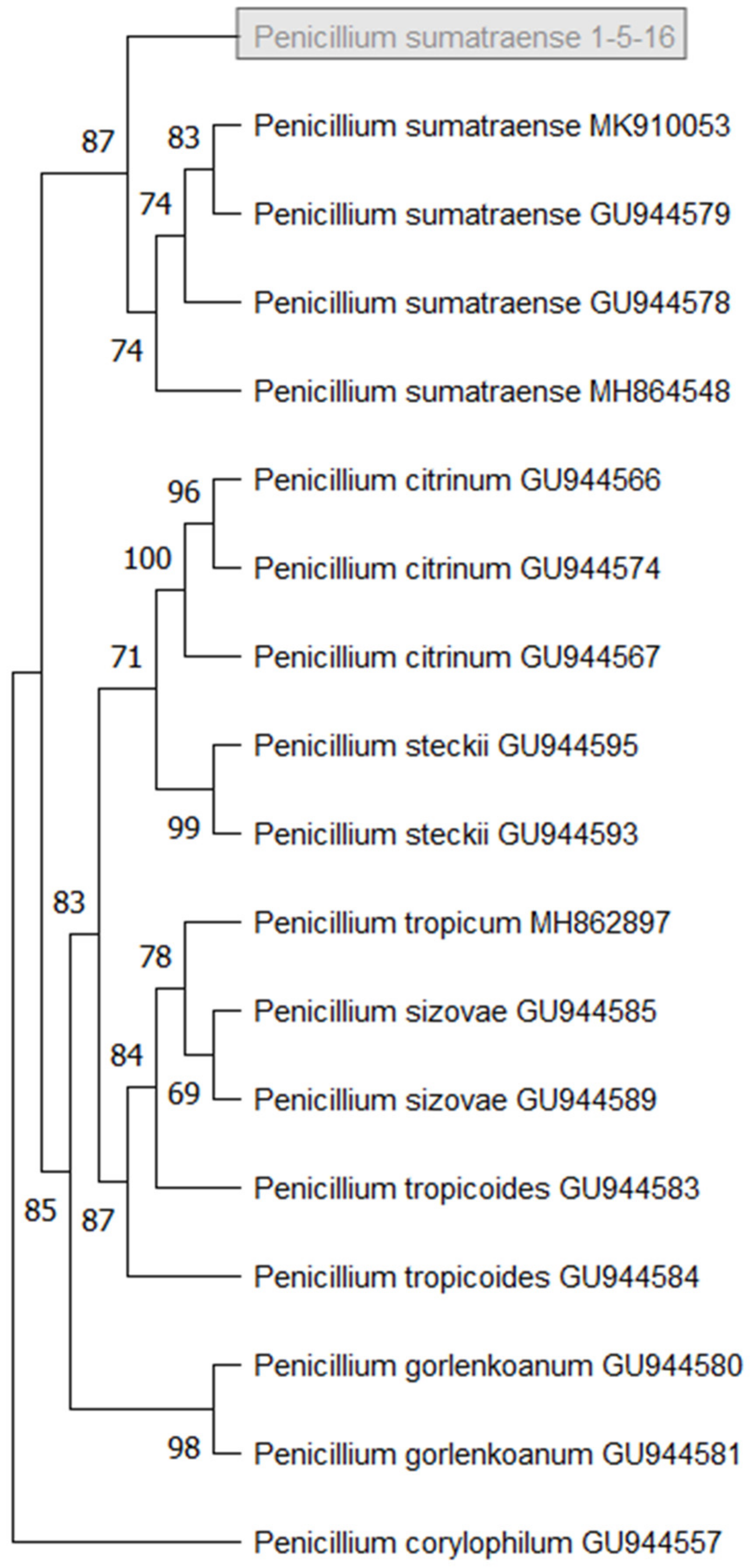 Molecules 27 08940 g006 Molecules 27 08940 g006